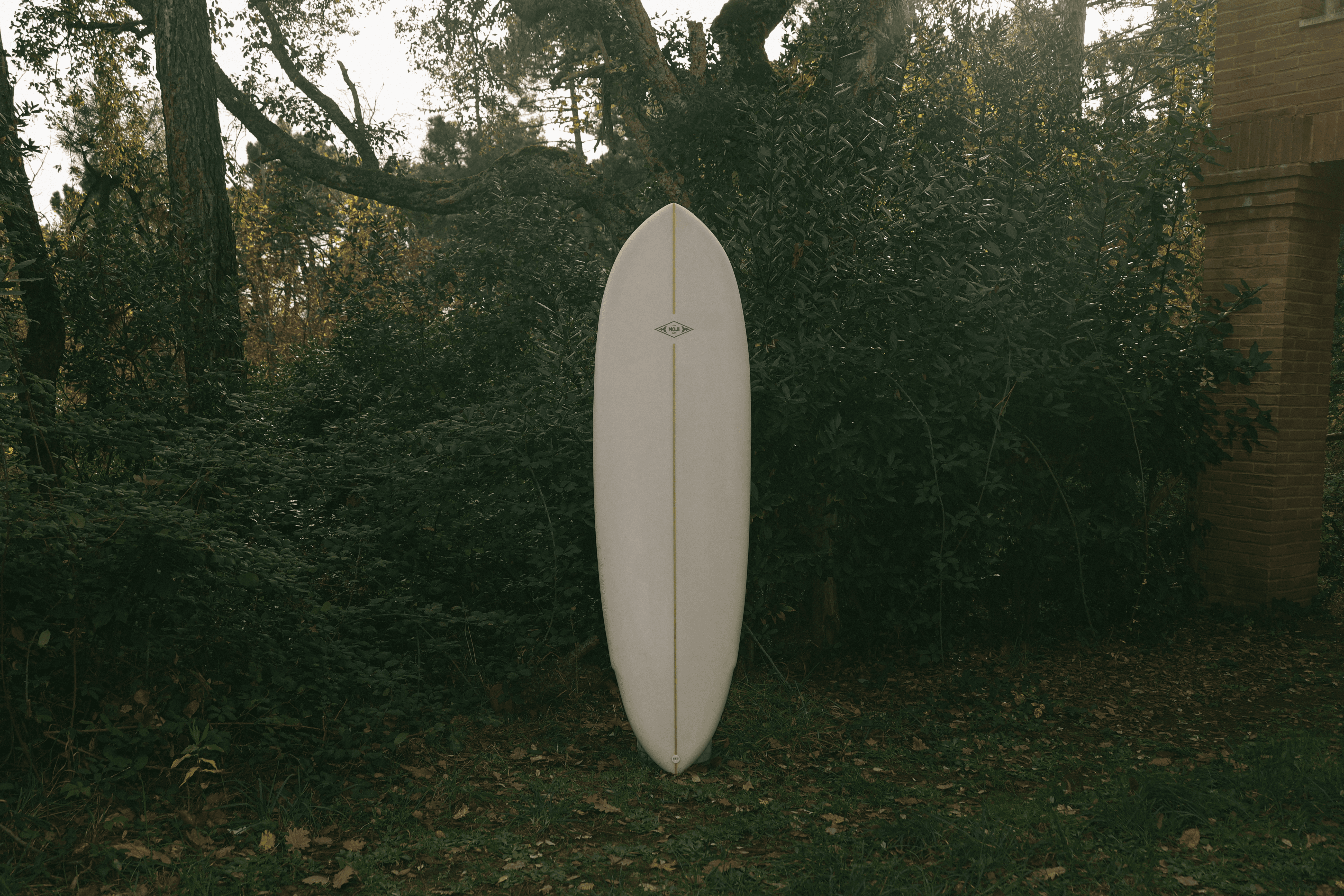 Modello blue java bianco, esposta verticalmente in un ambiente naturale e verde.