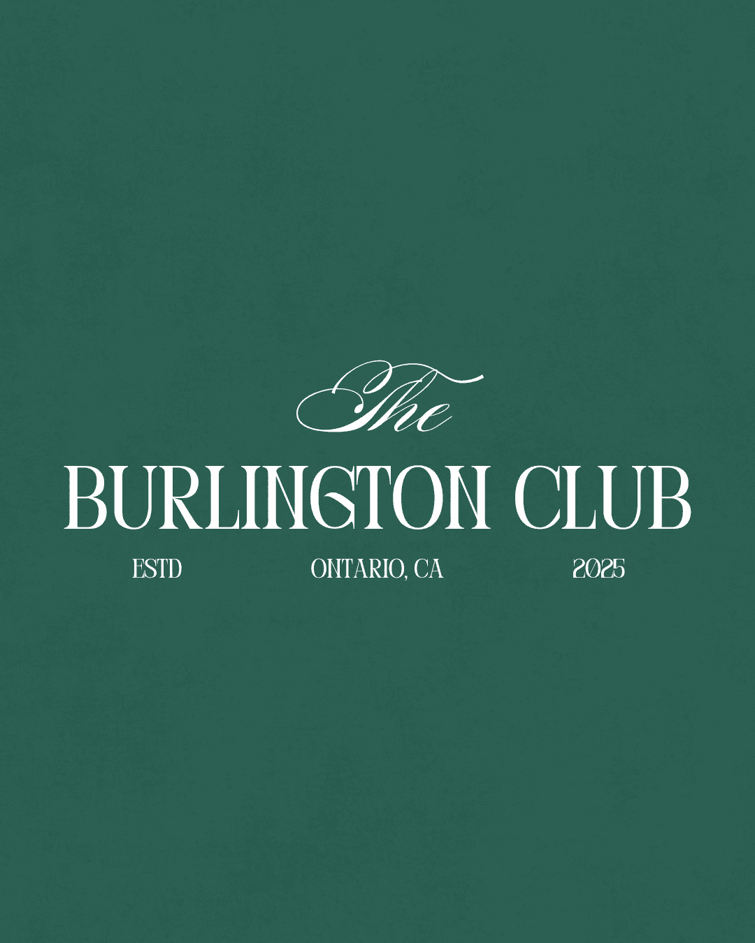 woman in black long-sleeved dress