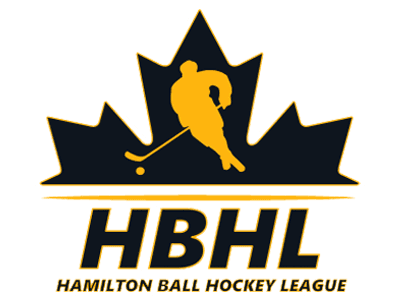 A TeamLinkt Sports League Partner Logo