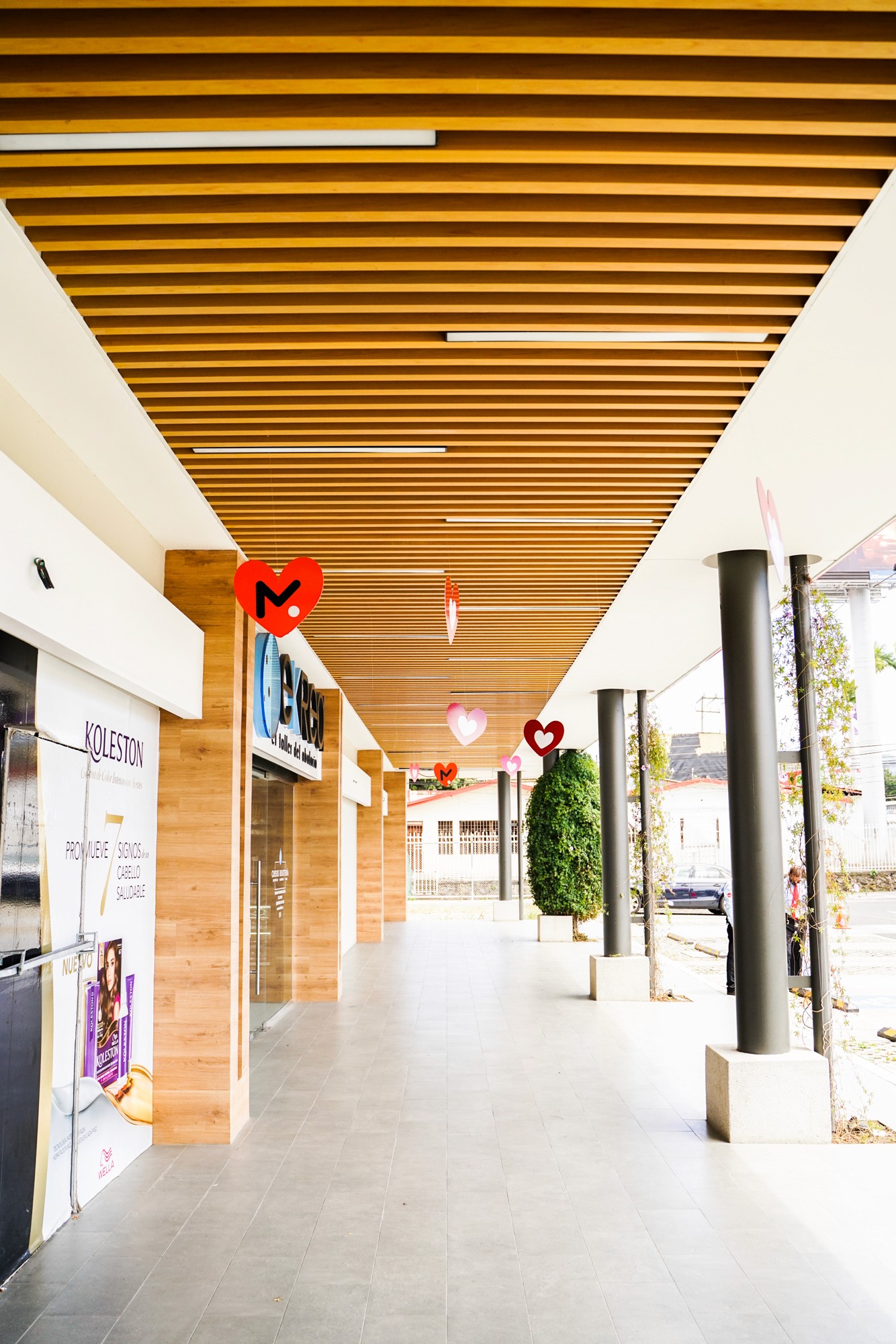 Metro Plaza Curridabat