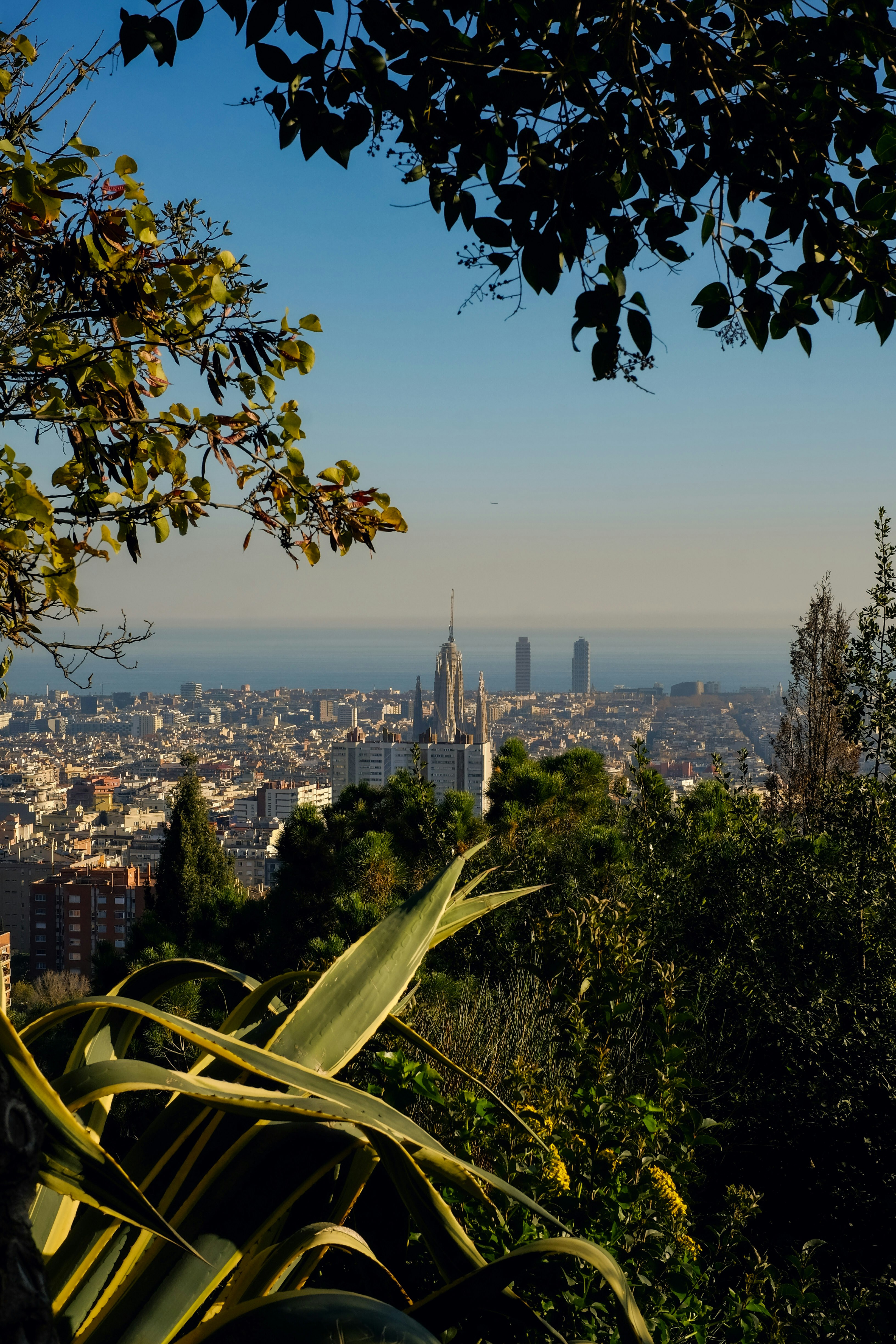 A view of a city from a hill