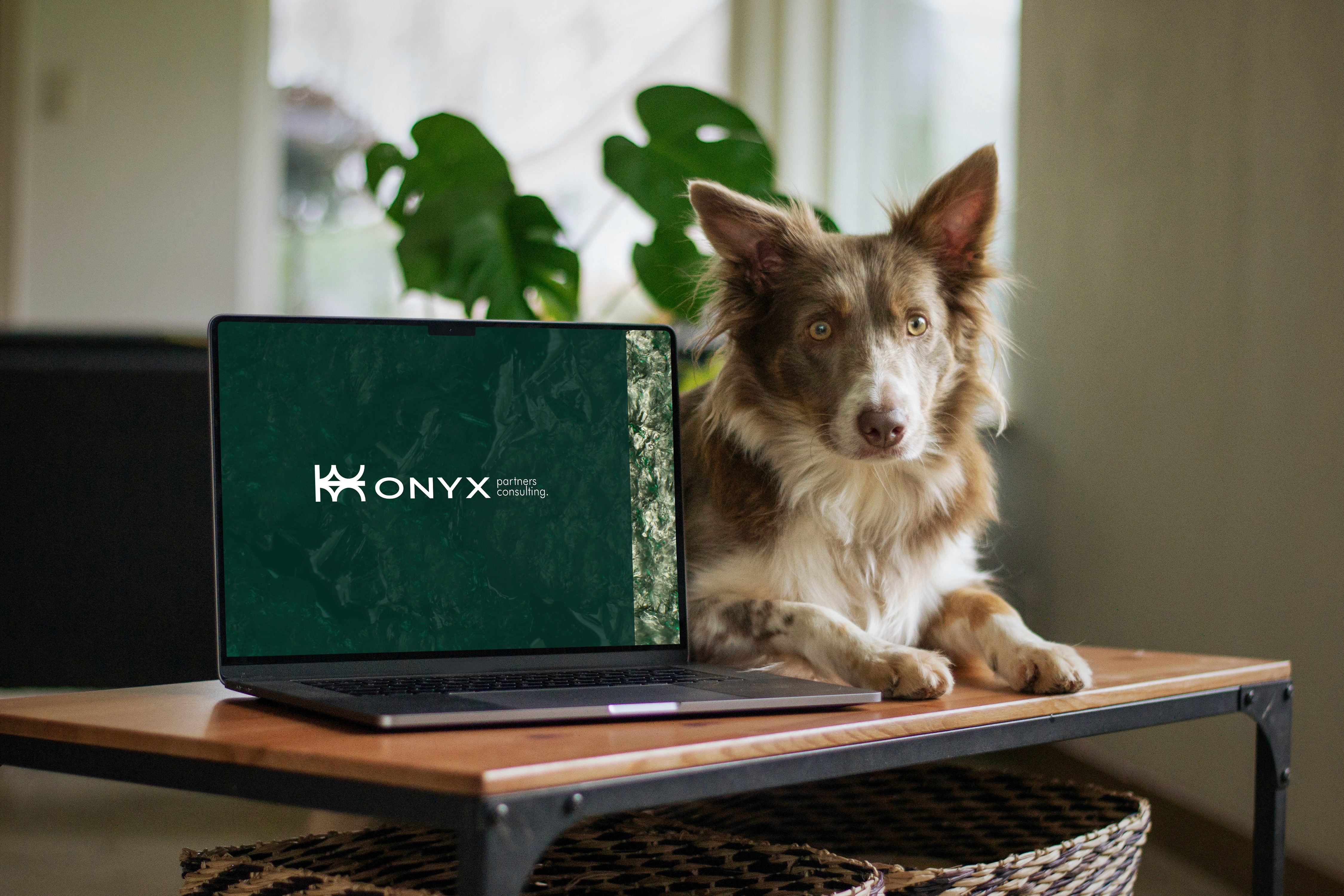 Rectangular packaging box with a pale yellow-to-orange gradient, featuring a large half-smiley face and “Smiley Co” branding, set on a split orange and yellow background.