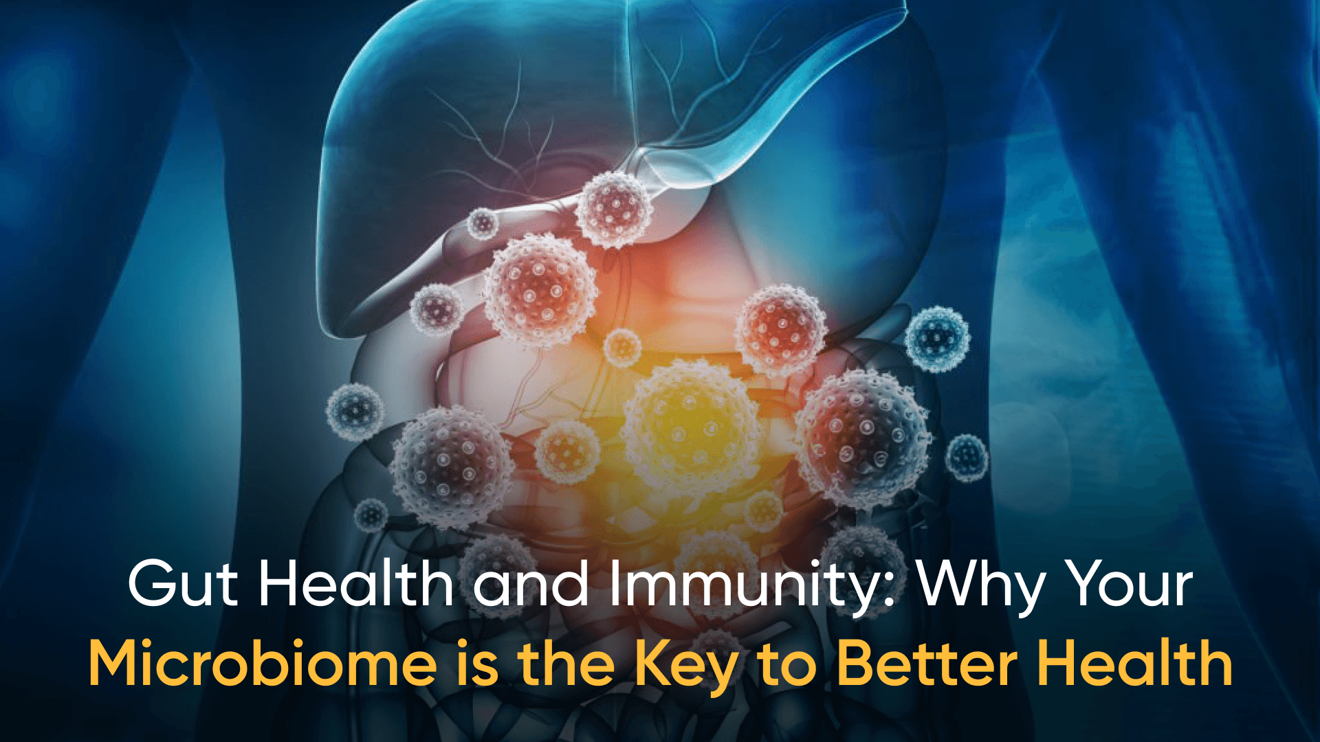 Illustration showing gut microbiome's role in boosting immunity and overall health.