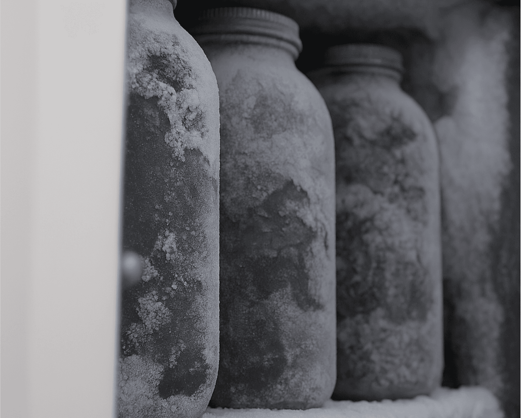 Bio Uljara hlađenje