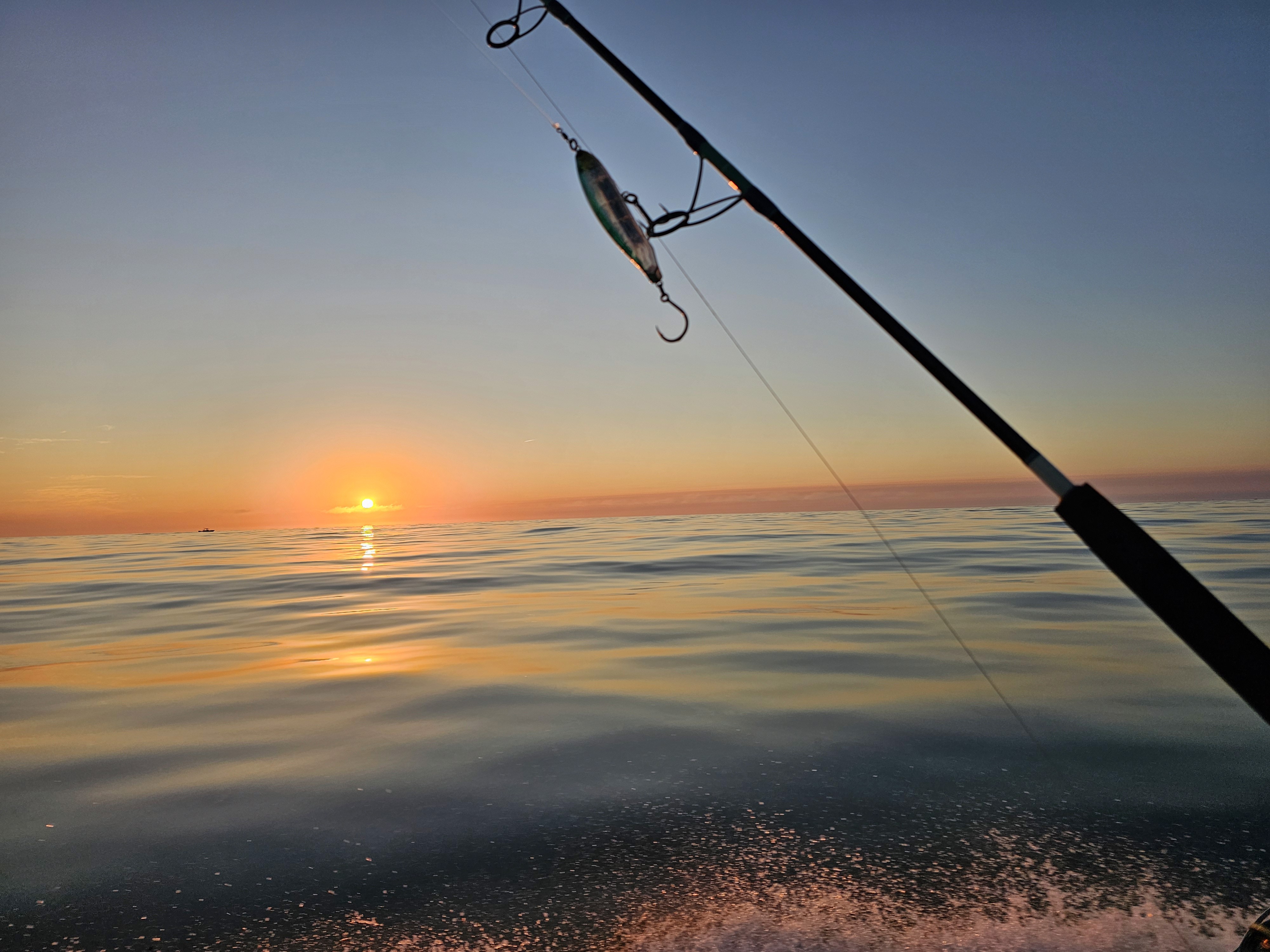 Cape Cod, striped bass, bluefish, tun