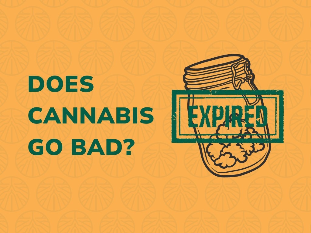 Title text reading "Does cannabis go bad?" with a depiction of a cannabis jar and a 'expired' sign on top of it.