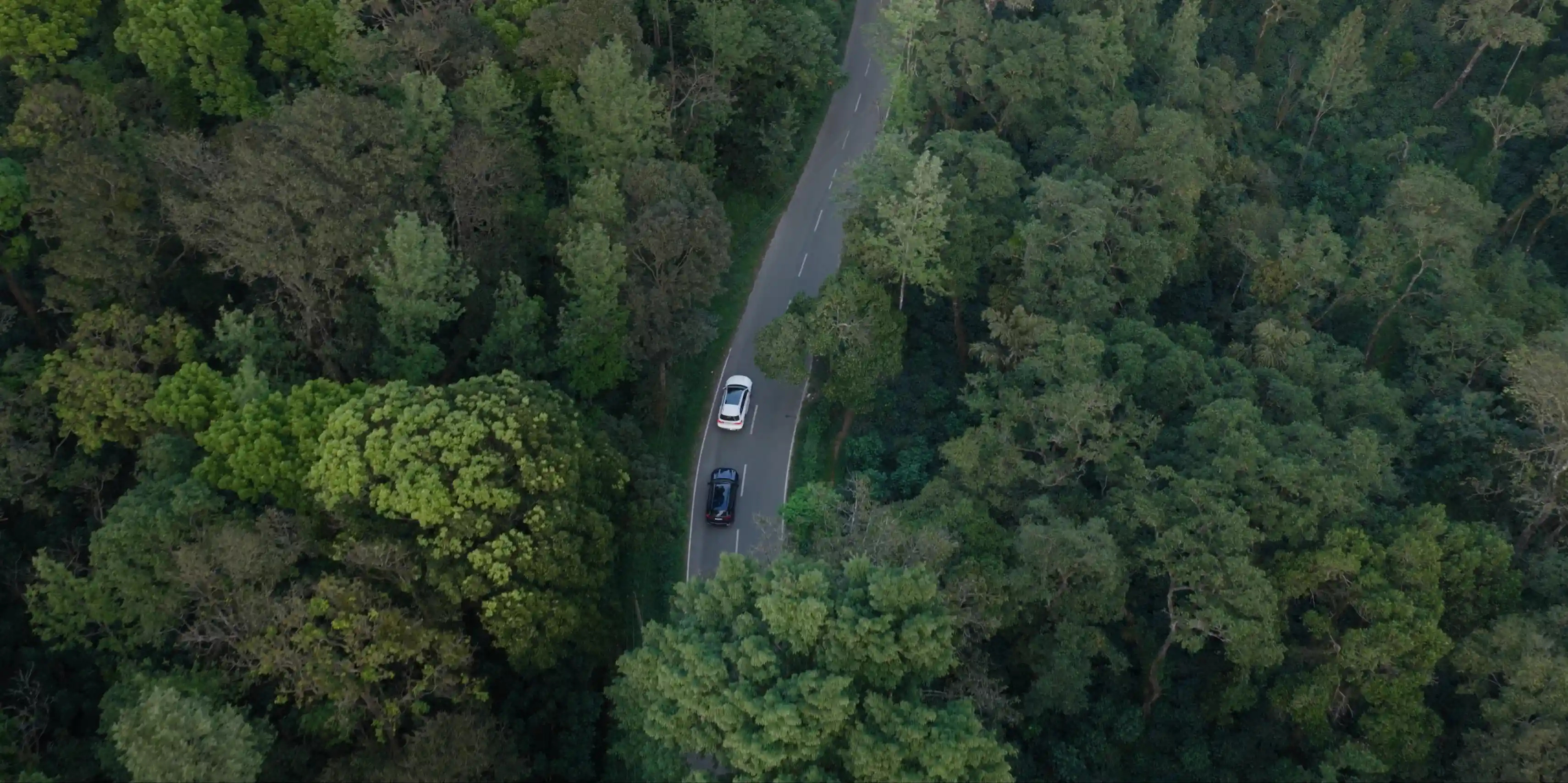 Film still from Timbertales Presidential Villa, Coorg — launch film by Tushar Rajpurohit