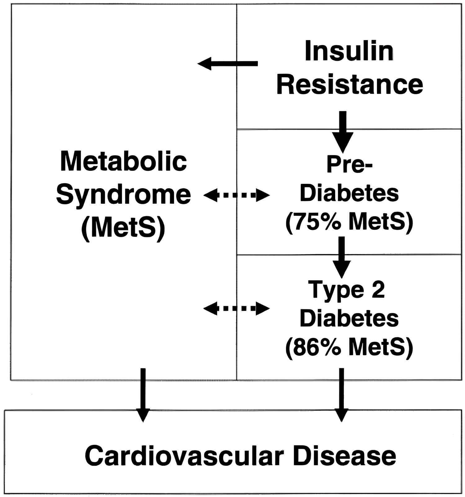 Flowchart connecting metabolic syndrome to cardiovascular disease