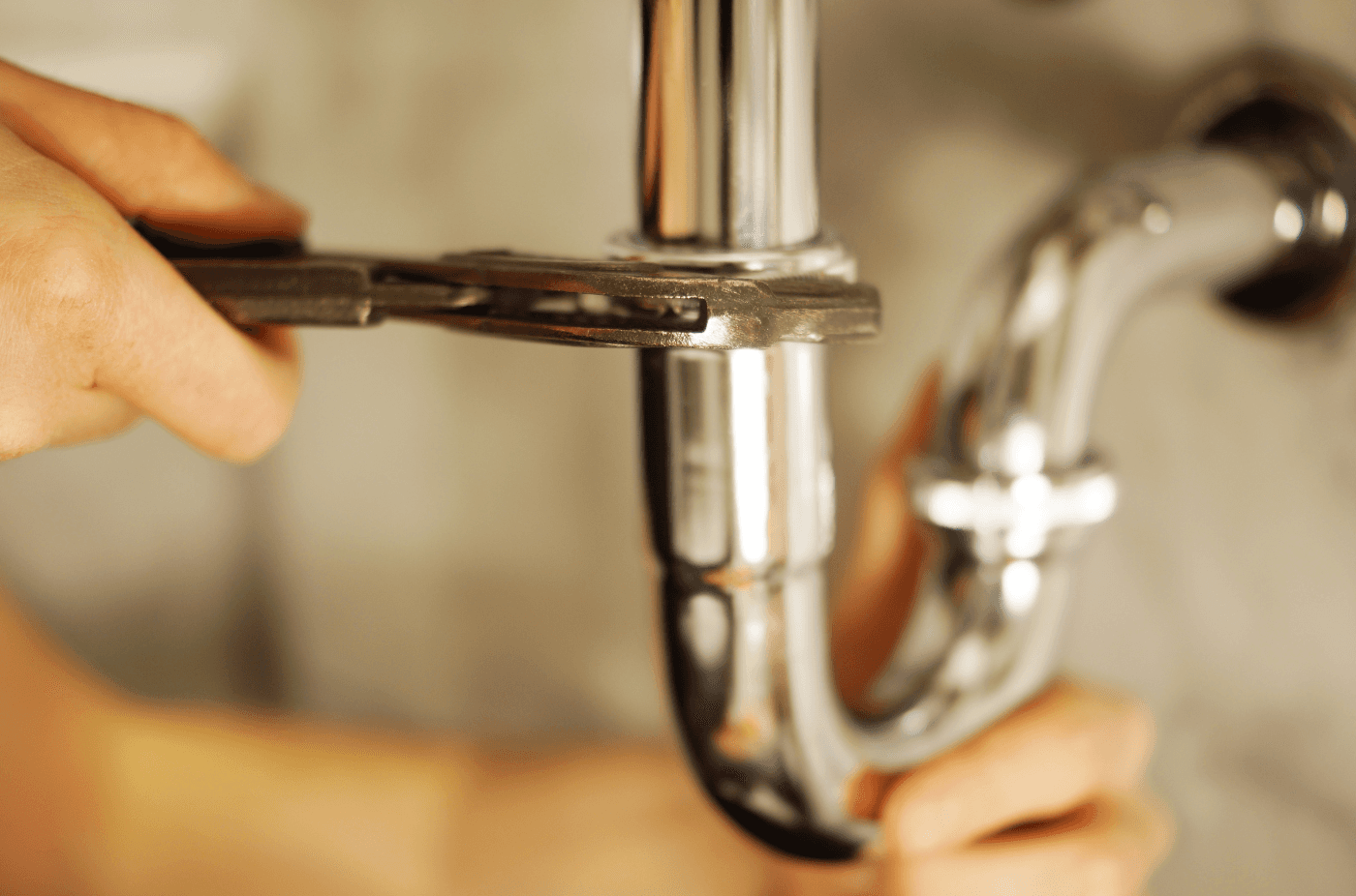 Modern landscaped garden showcasing professional outdoor design.