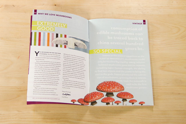 An open magazine displays text and illustrations. The left page features the title "EXTREMELY GOOD" in yellow text above a paragraph of text. The right page has the title "SO SPECIAL" in yellow text above a paragraph of text. Below the text are illustrations of red mushrooms with speckled caps. The magazine is titled "WHY WE LOVE MUSHROOMS" and labeled "VINTAGE 95."