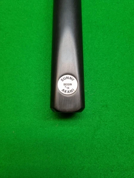 sunny akani cue model begin