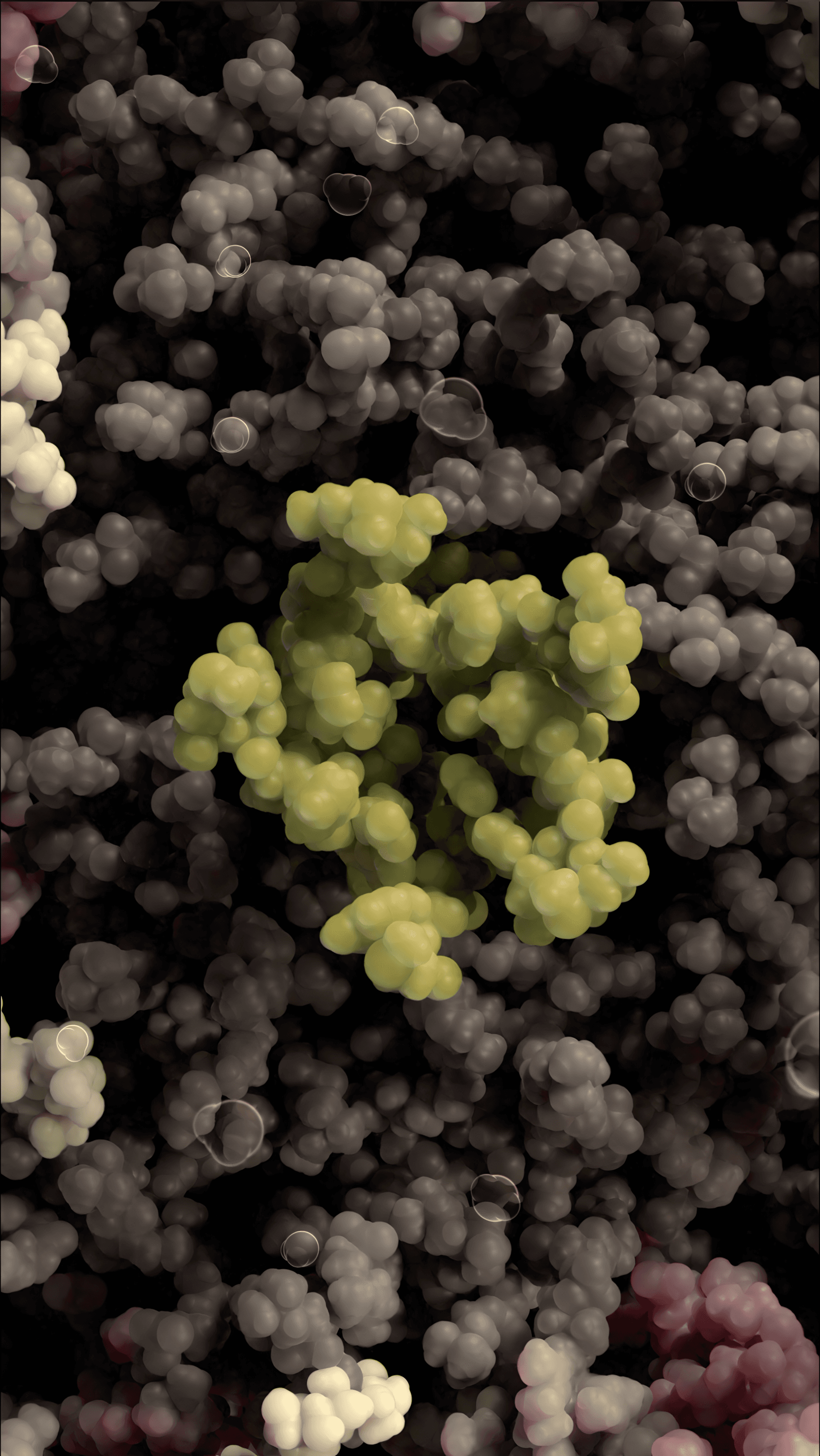 3D visualization of the atopic dermatitis lesions on the skin