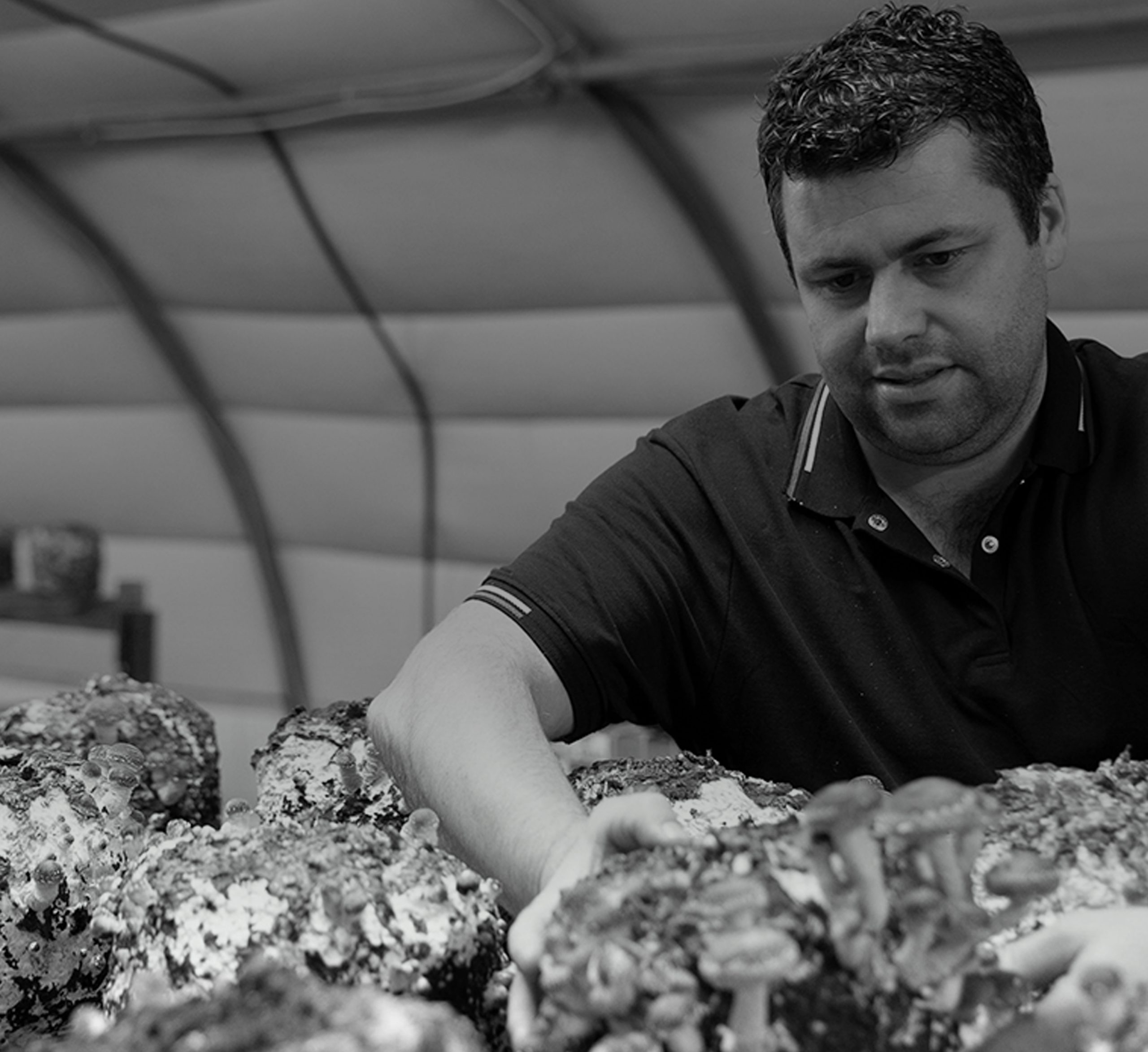 Owner of Ard Mhacha Mushrooms picking exclusive Mushrooms Owners of Beechlawn Organic Farm laughing in the field while supplying their goods to As One Restaurant Dubliln