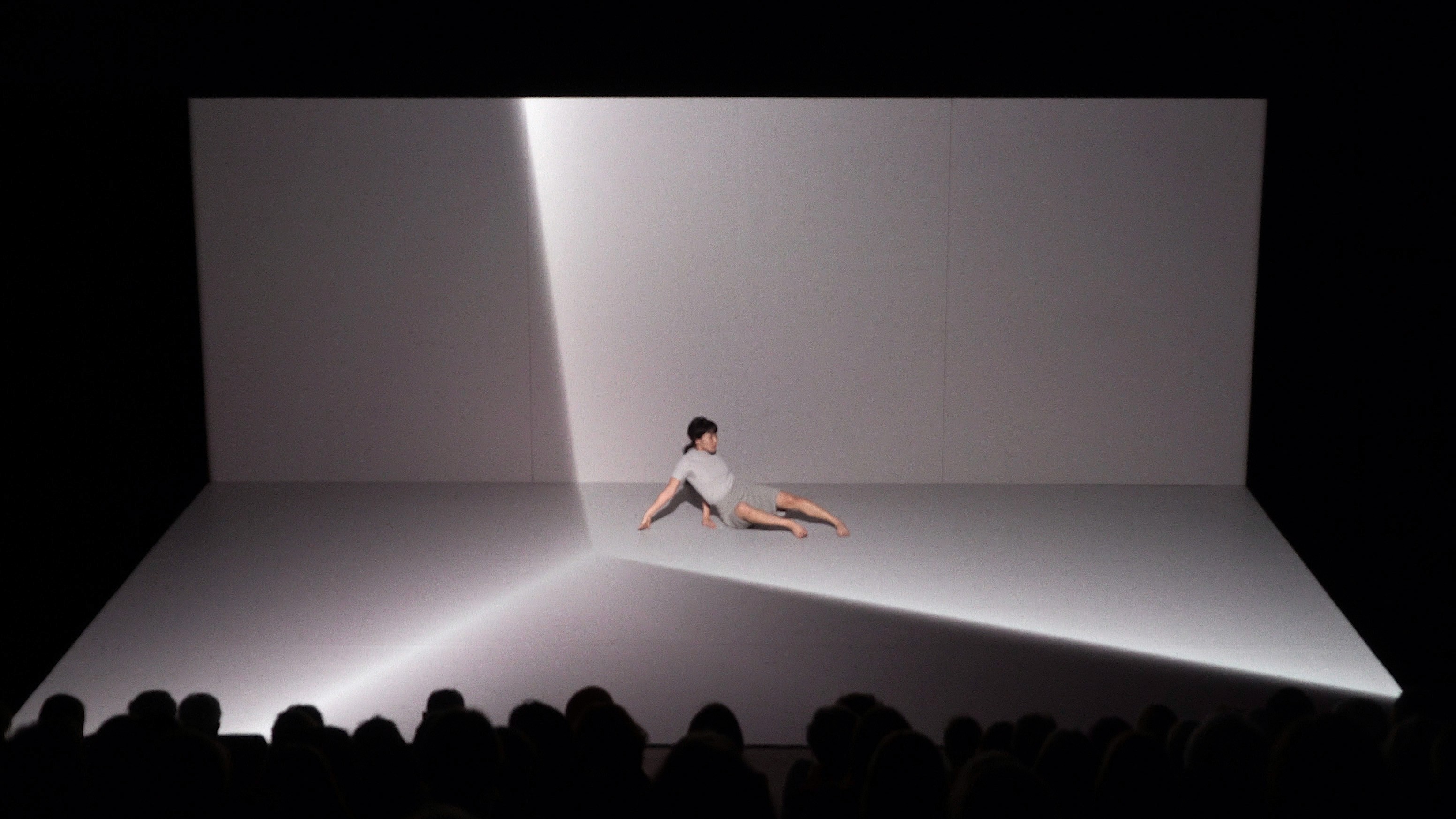 Spektrum - augmented performance installation