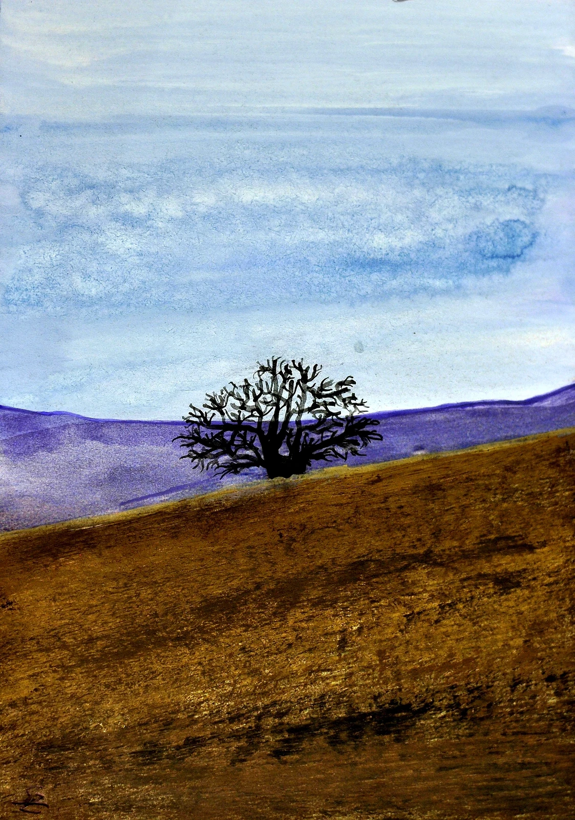 Landschaften 64