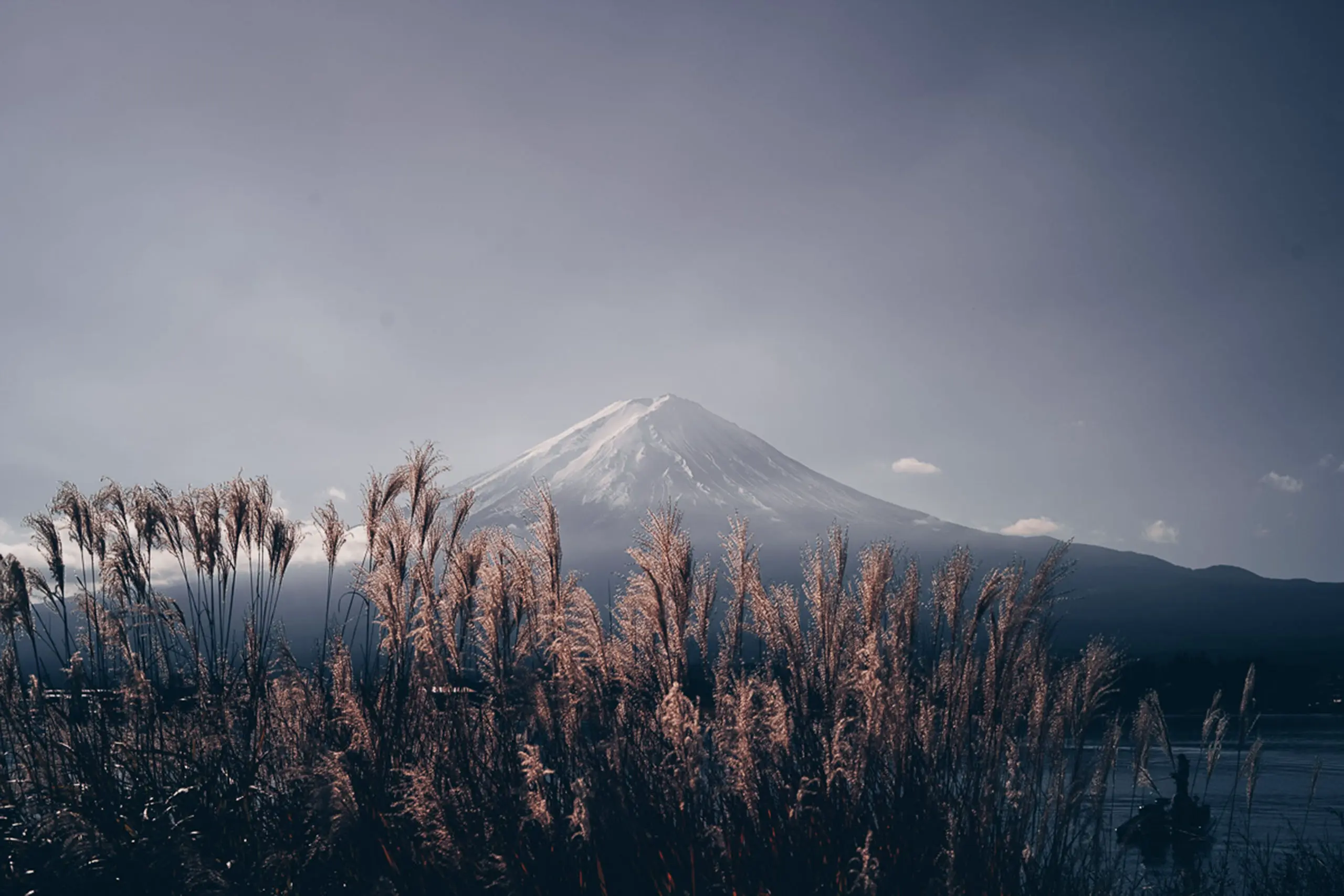 Image of mount fuji in the autumn