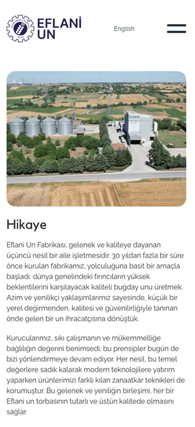 Mobile website mockup about detail