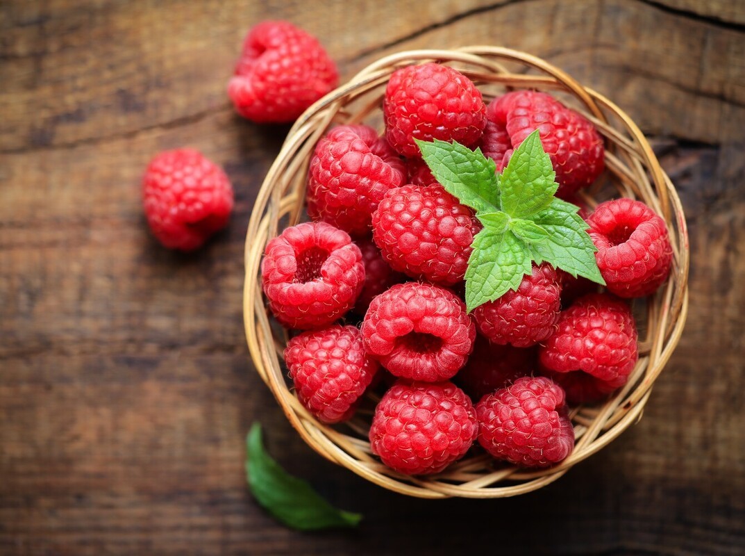 protein and fiber foods for weight loss