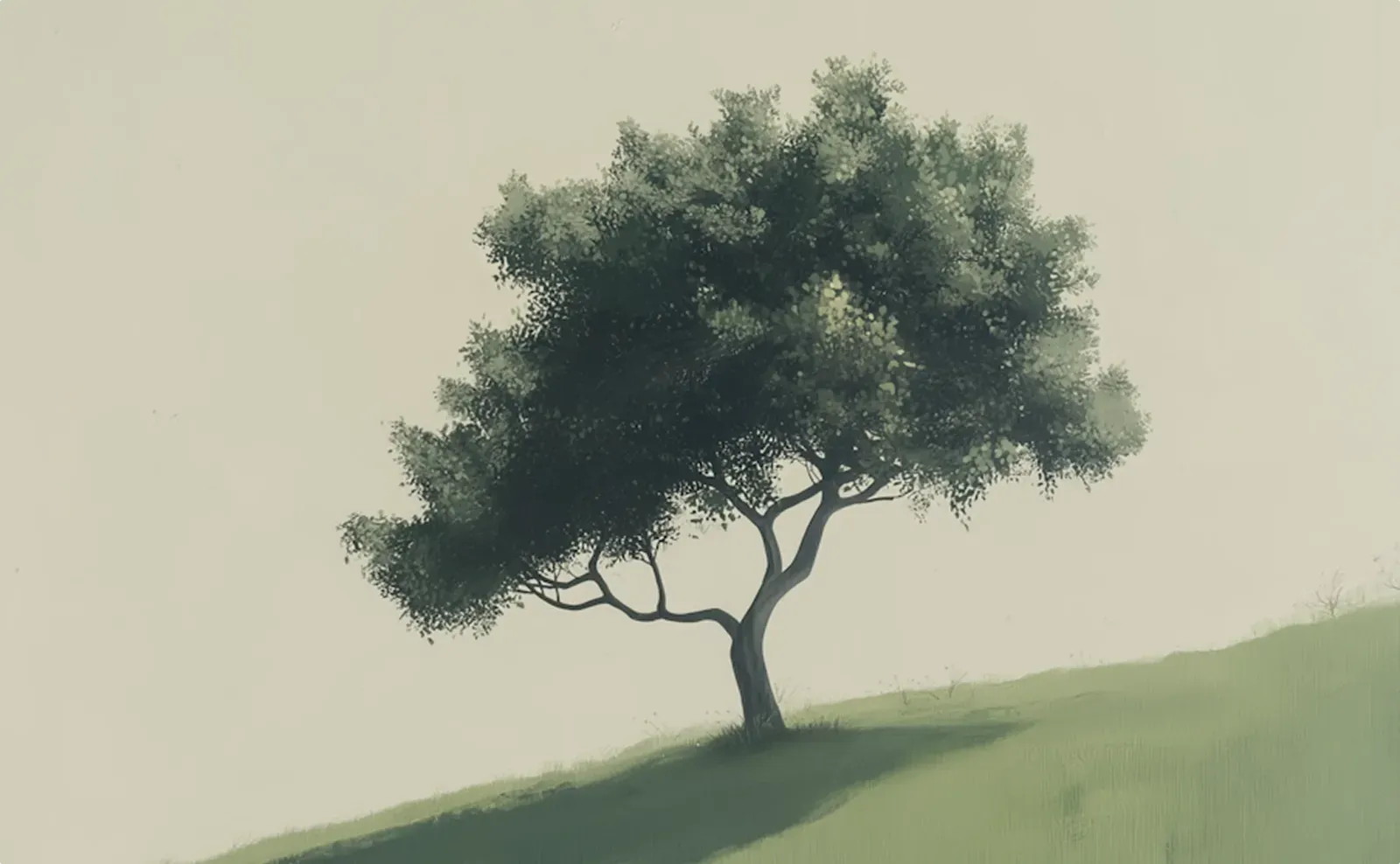 preview-image