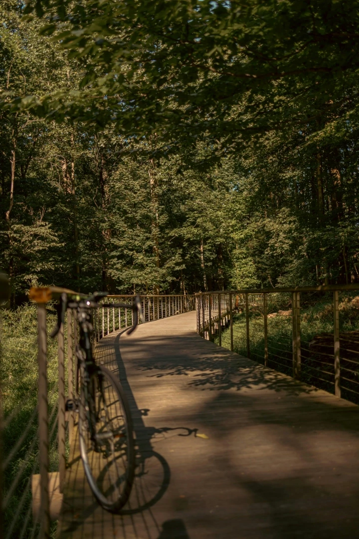 A bicycle on Jones Falls Trail, Baltimore, MD.