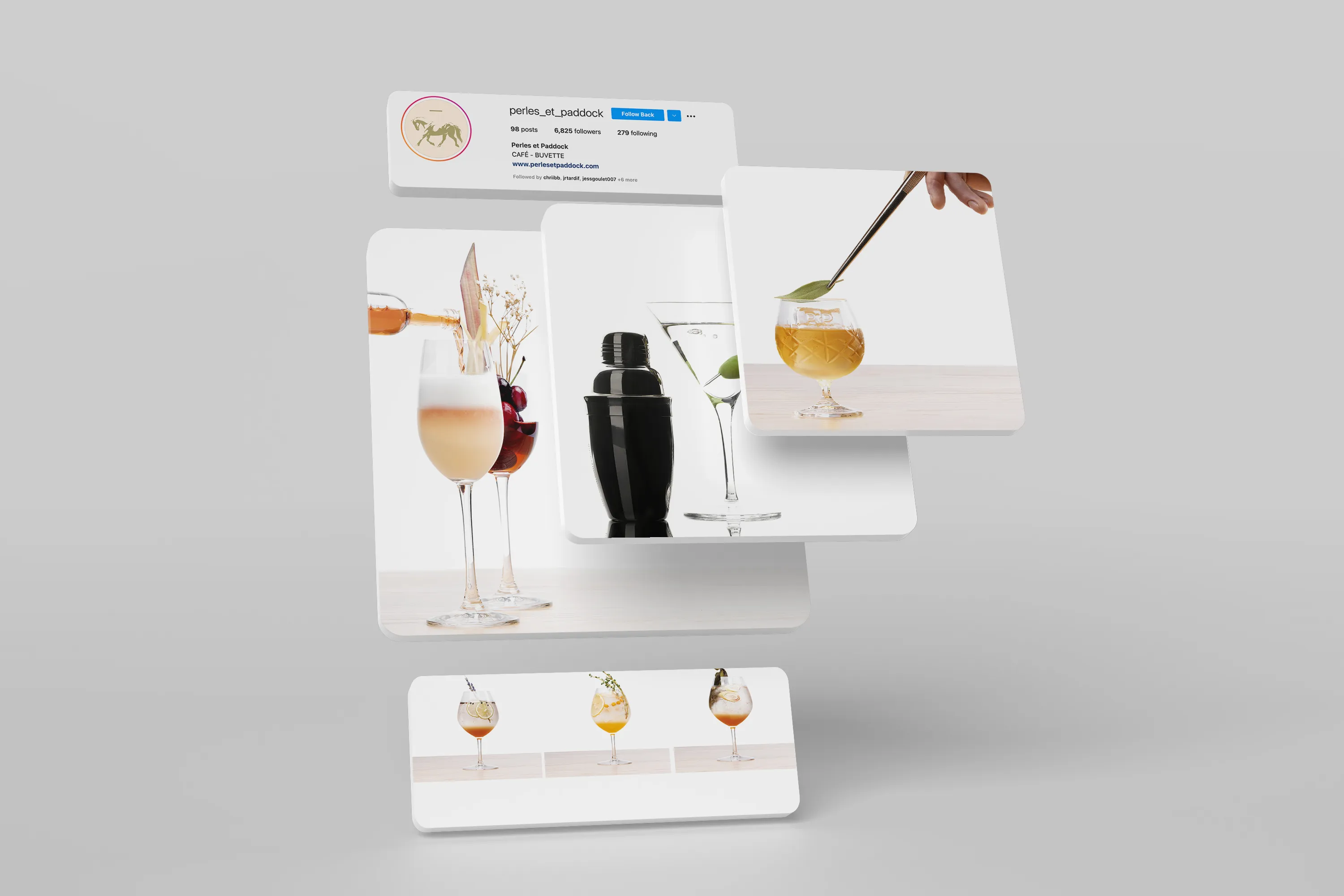 Dom Pérignon vineyards from the sky