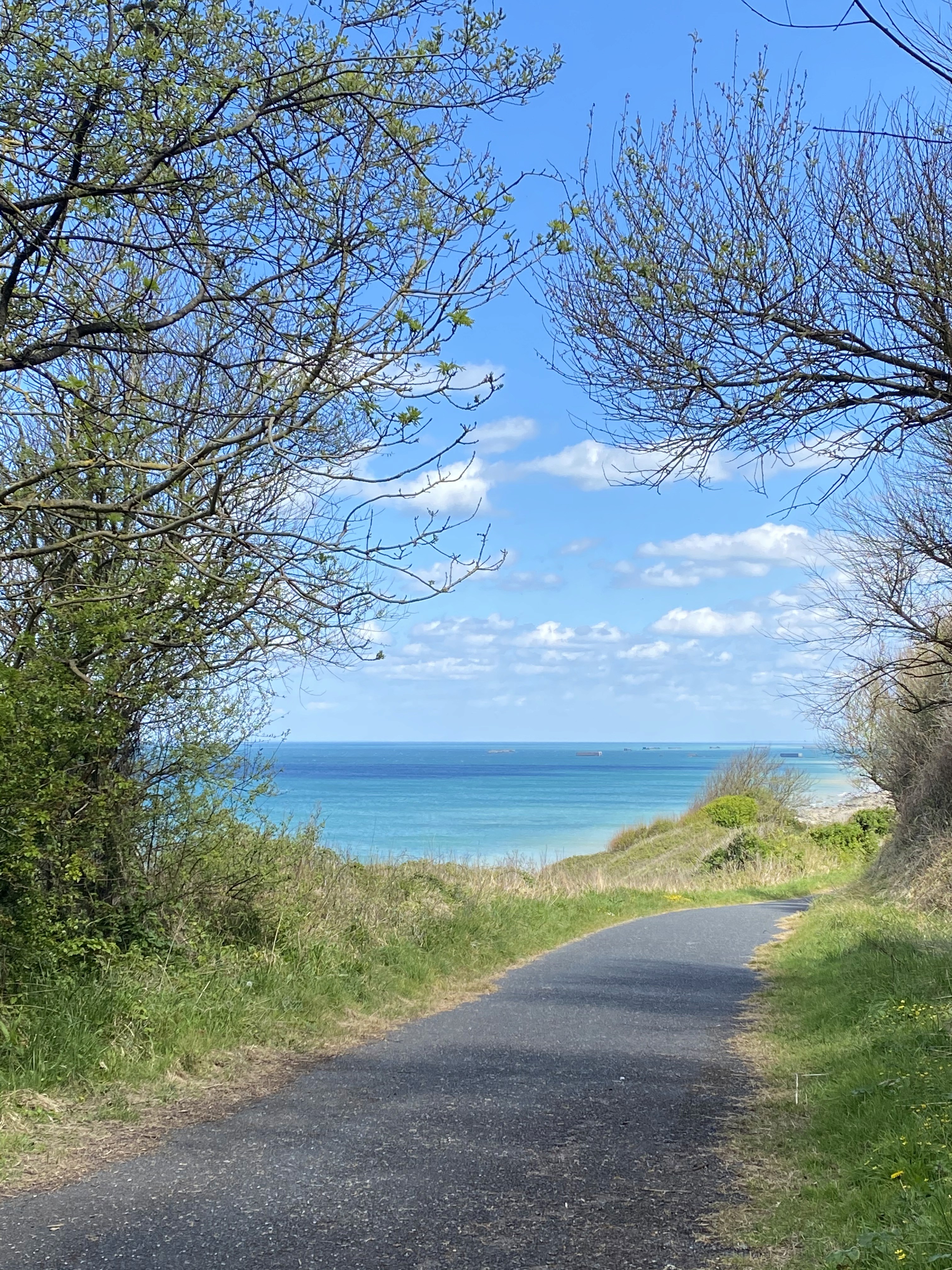 Chemin côtier encadré d’arbres avec vue sur la mer