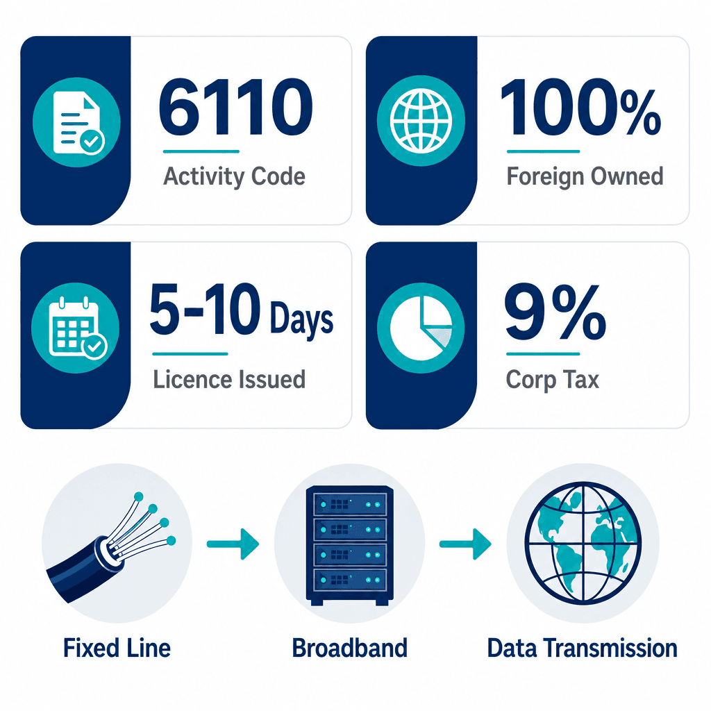 Infographic: Wired Telecommunications Services Business License in Dubai