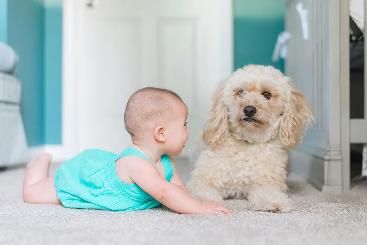 Baby with dog laying on clean carpet