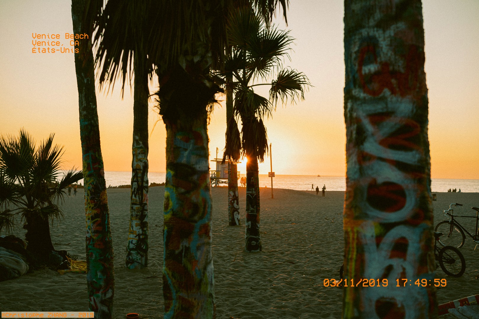 Coucher de soleil à travers des palmiers graffités sur la plage de Venice.