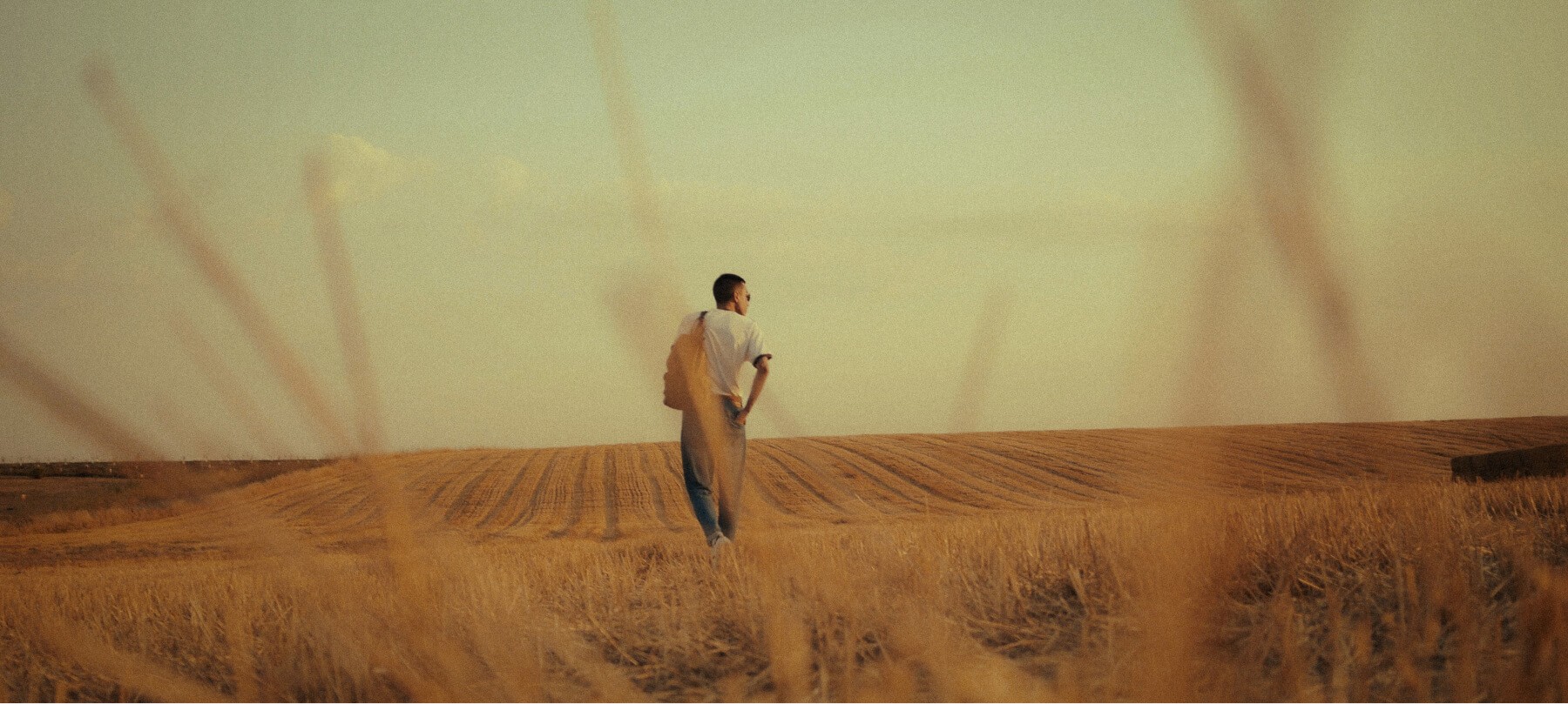 Here comes the alt text