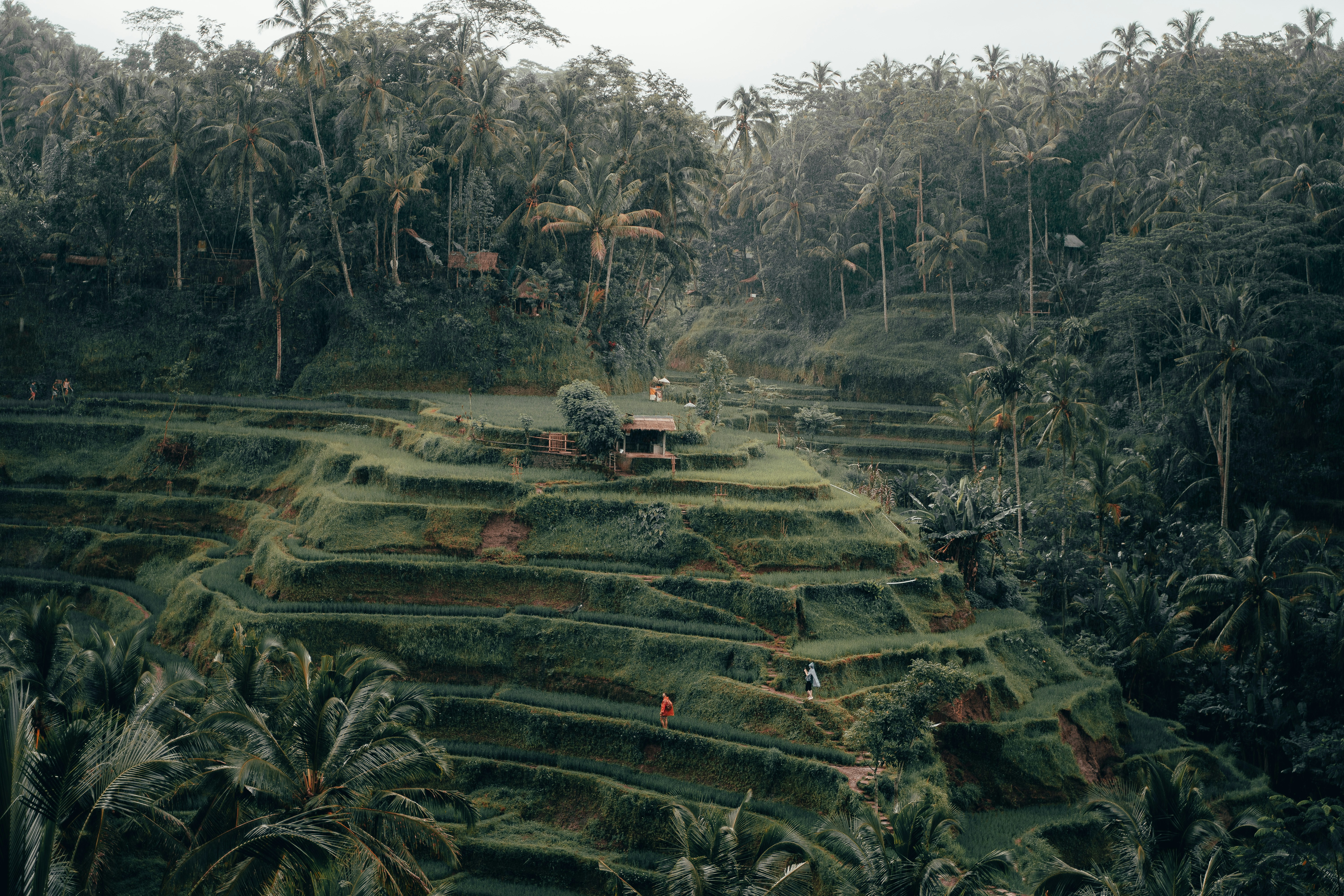 Bali