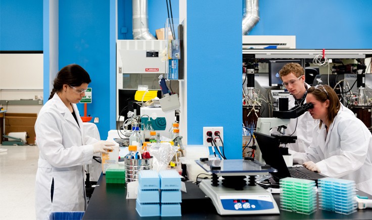 Scientists working at Zymergen’s laboratory.
