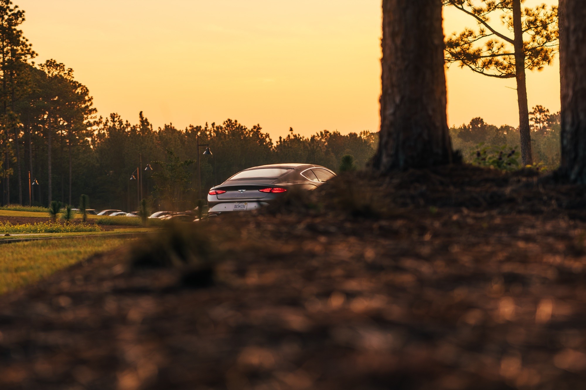 Bentley × Crewe Cup — image 36 of 48