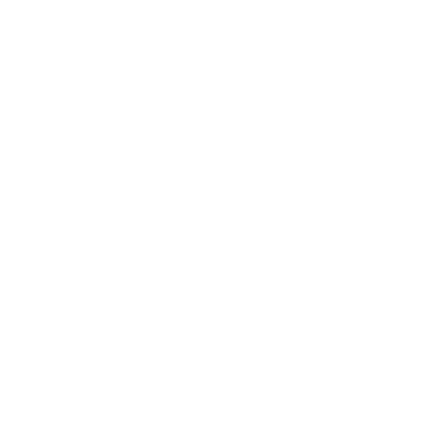 Logoipsum Logo