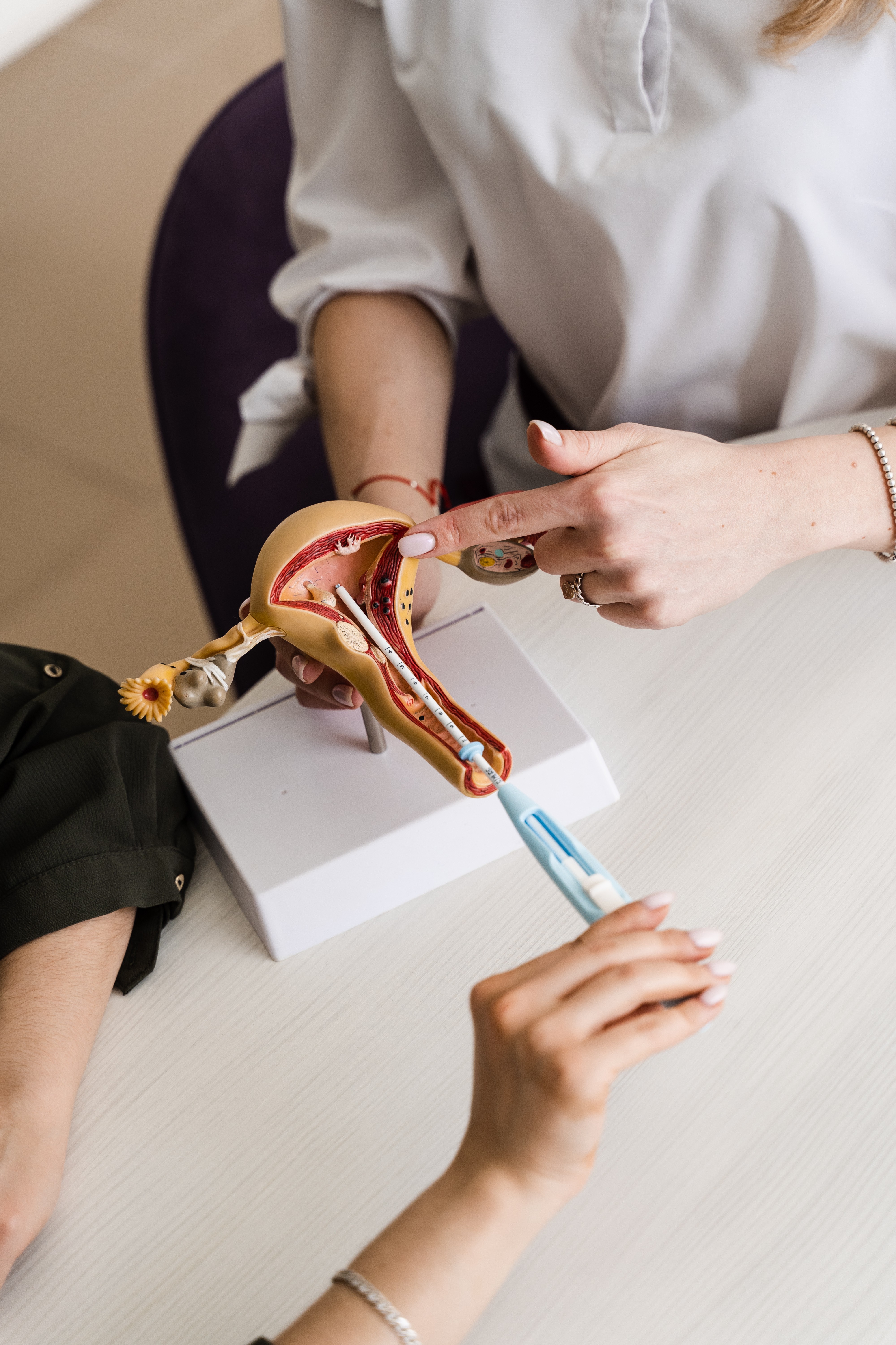 Close-up insert of intrauterine device IUD into a uterus model.