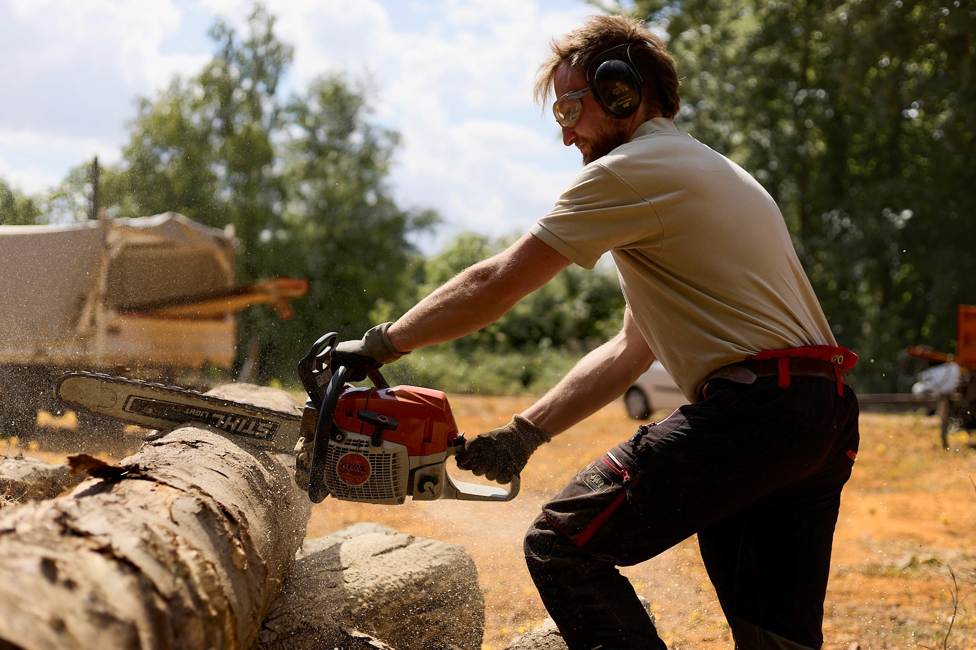 Professionnel de la forêt équipé de protections réalisant une coupe de bois à la tronçonneuse. Mise en valeur du geste technique.
