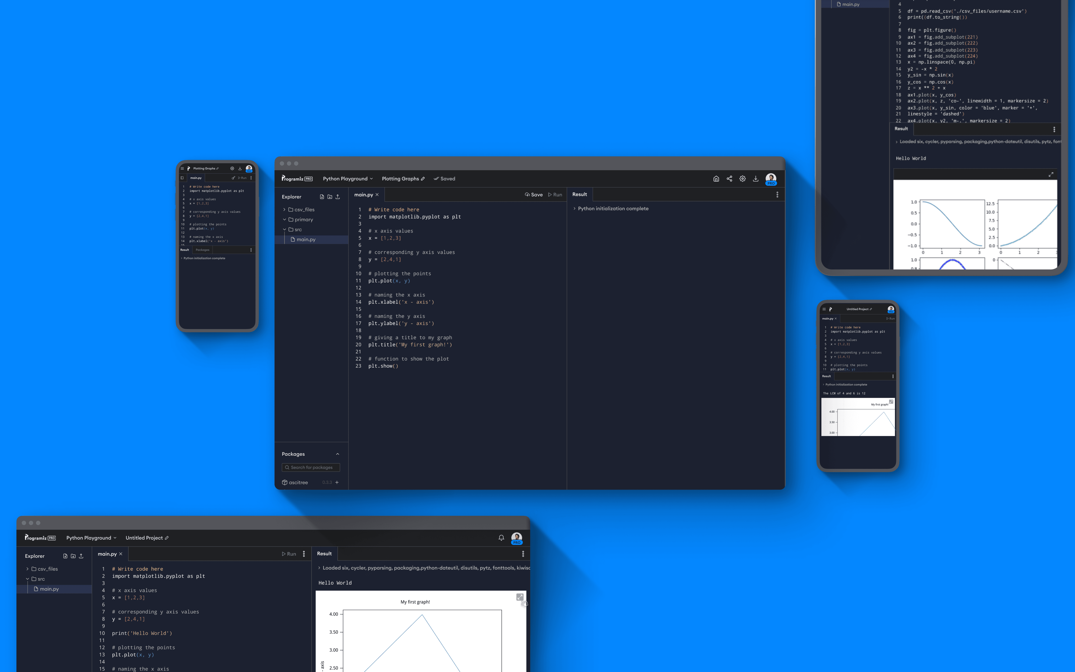 Programiz Pro Code Playground Format Portfolio Template