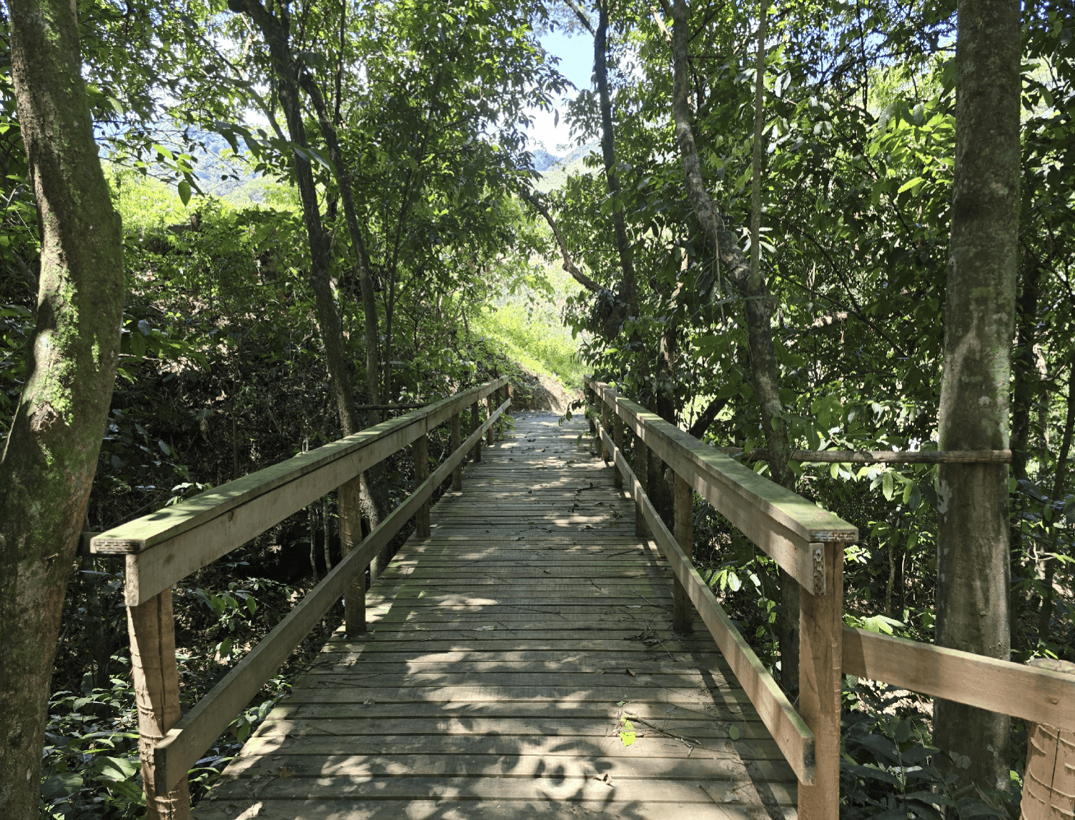 Man with surfing with paddle