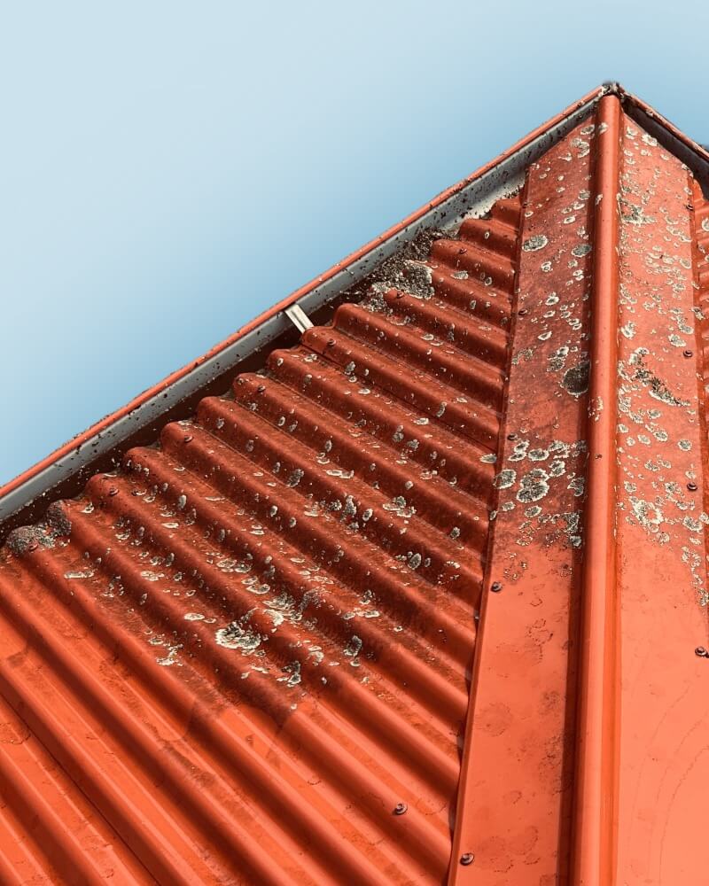 Red corrugated roof mid-cleaning, showing lichen and grime being removed by BLHISS roof washing service