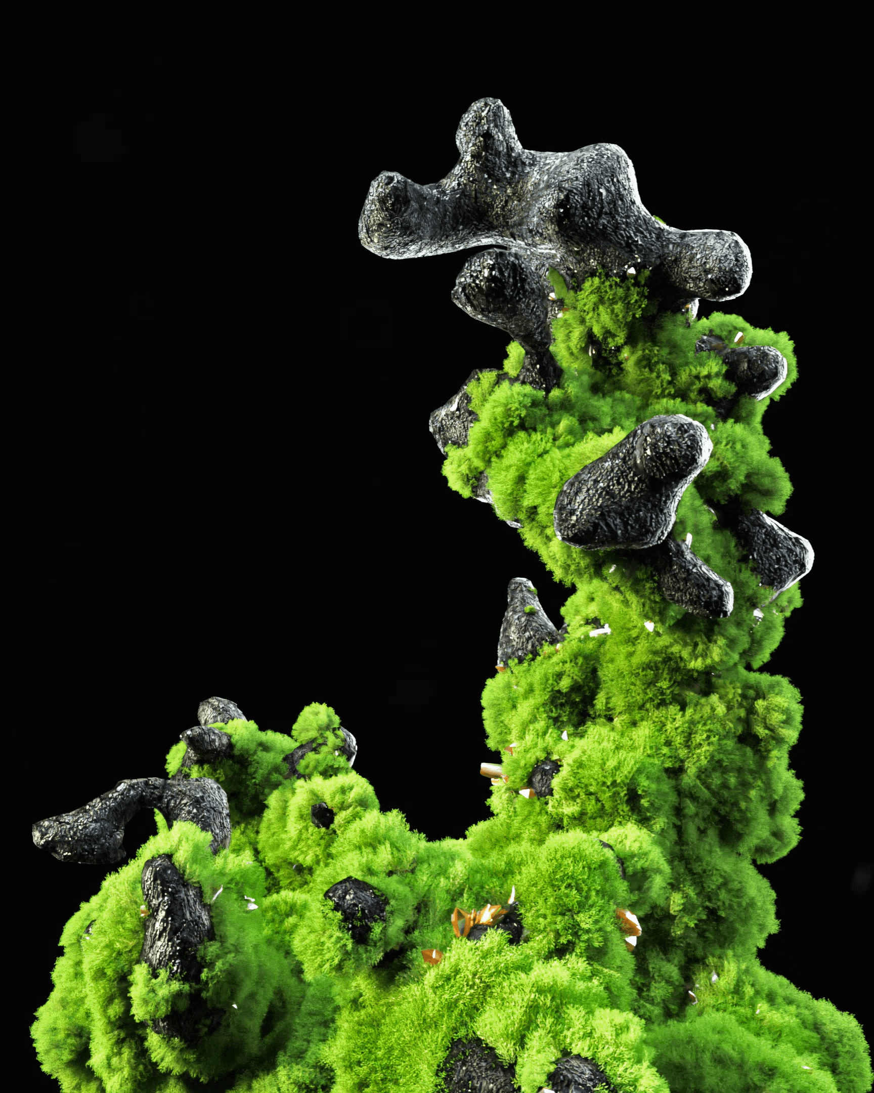 Dominique Knobben Unsplash