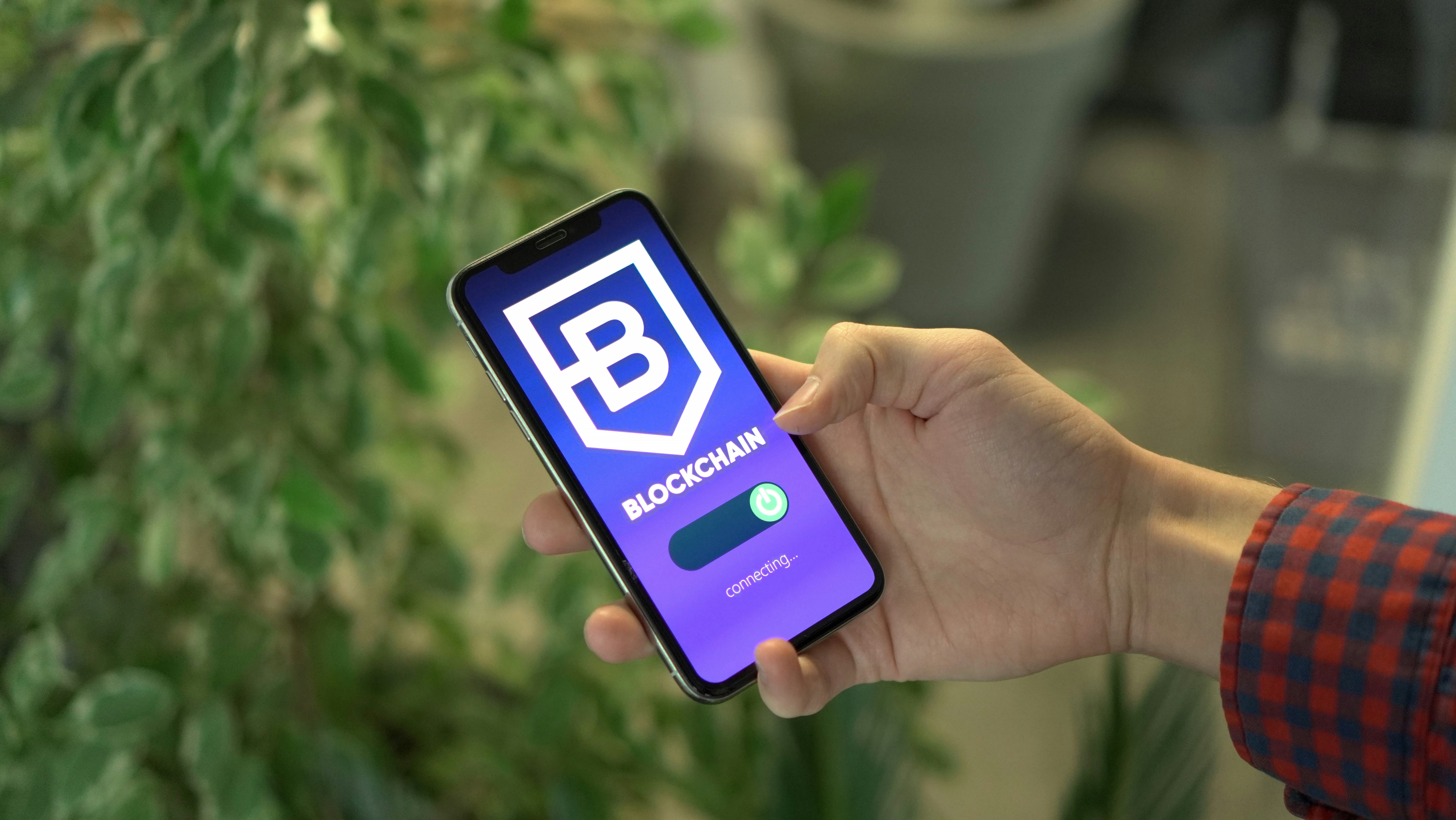 blockchain - What Is a Blockchain Network