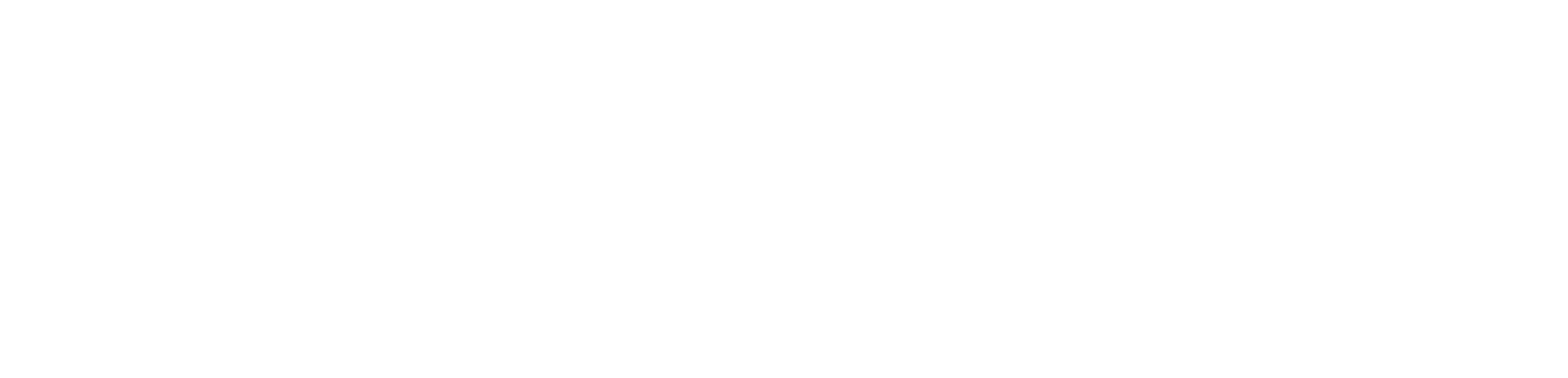 Logo for 'The Salon Magazine'