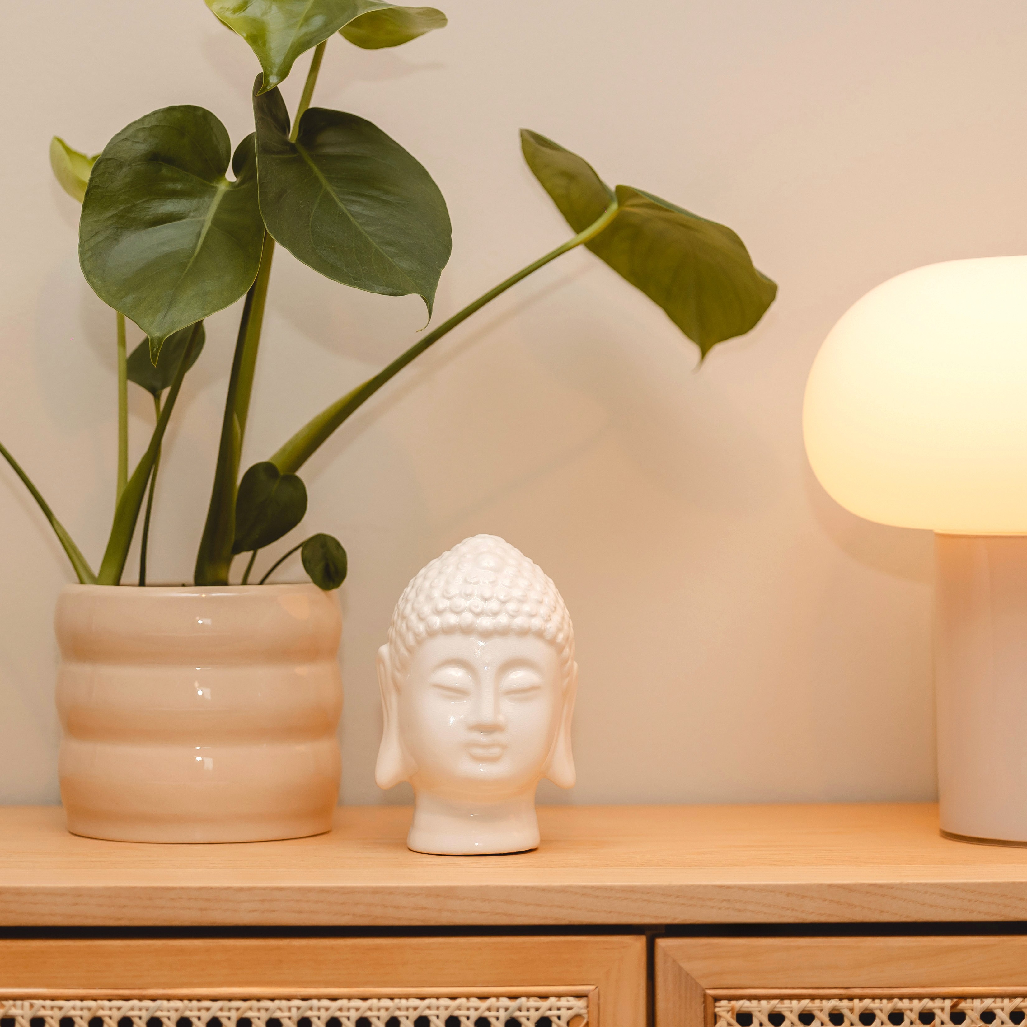 Regal in der Physiotherapie Praxis A. Homburg