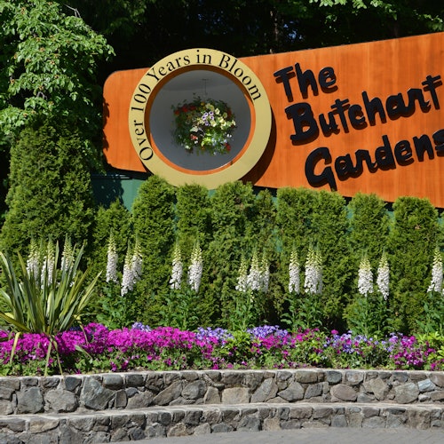 一个牌子上写着“布查德花园”,周围环绕着郁郁葱葱的绿色植物和五彩缤纷的花朵,牌子的圆形框中展示着“花开百年”的字样。
