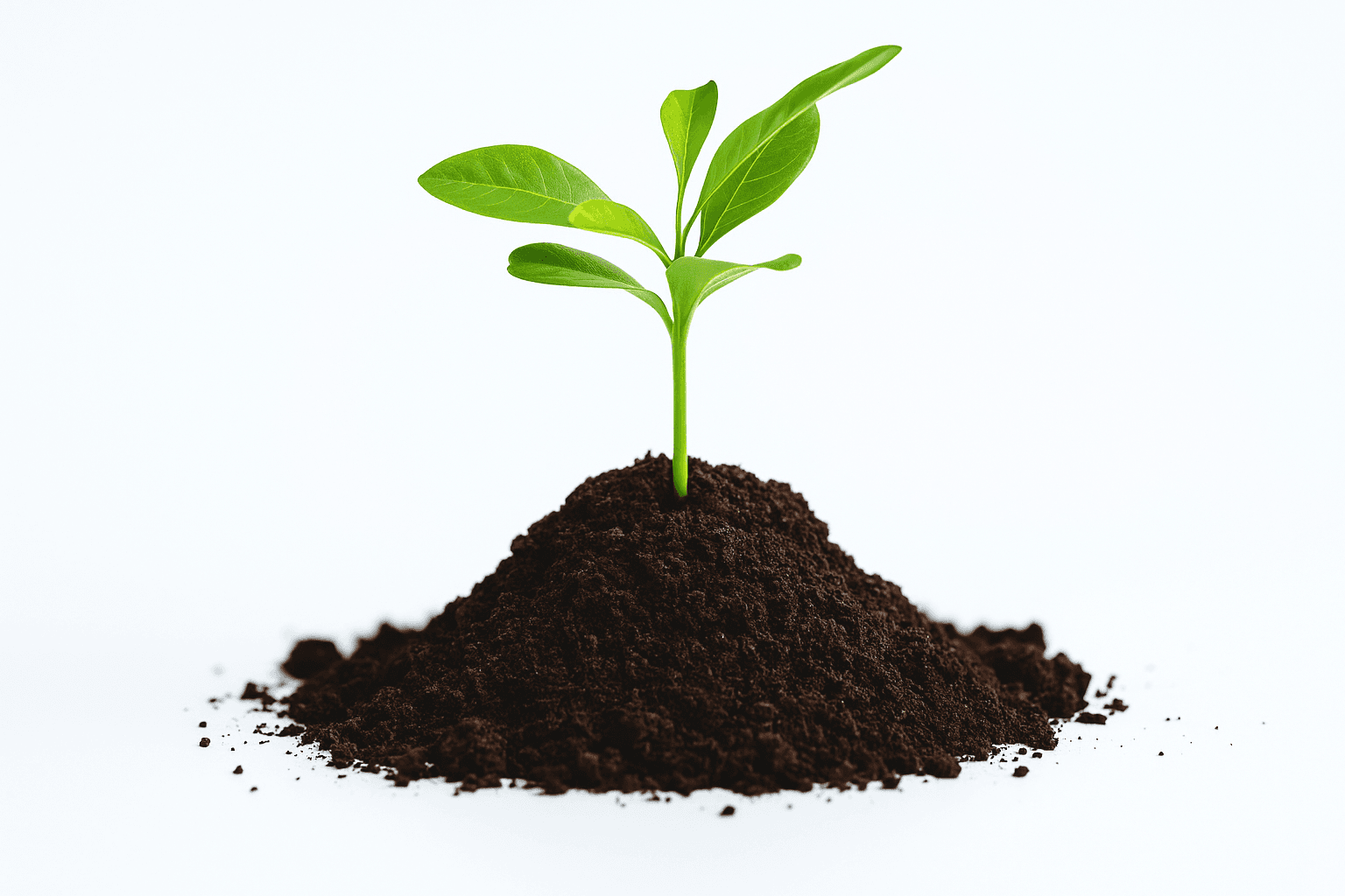 تربة زراعية ومحسنات نمو طبيعية