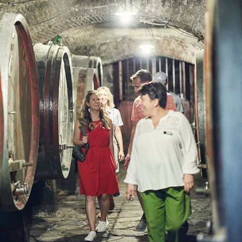 Tuscany: Chianti Tour + Medici Villa Wine Tasting tickets in Montalcino