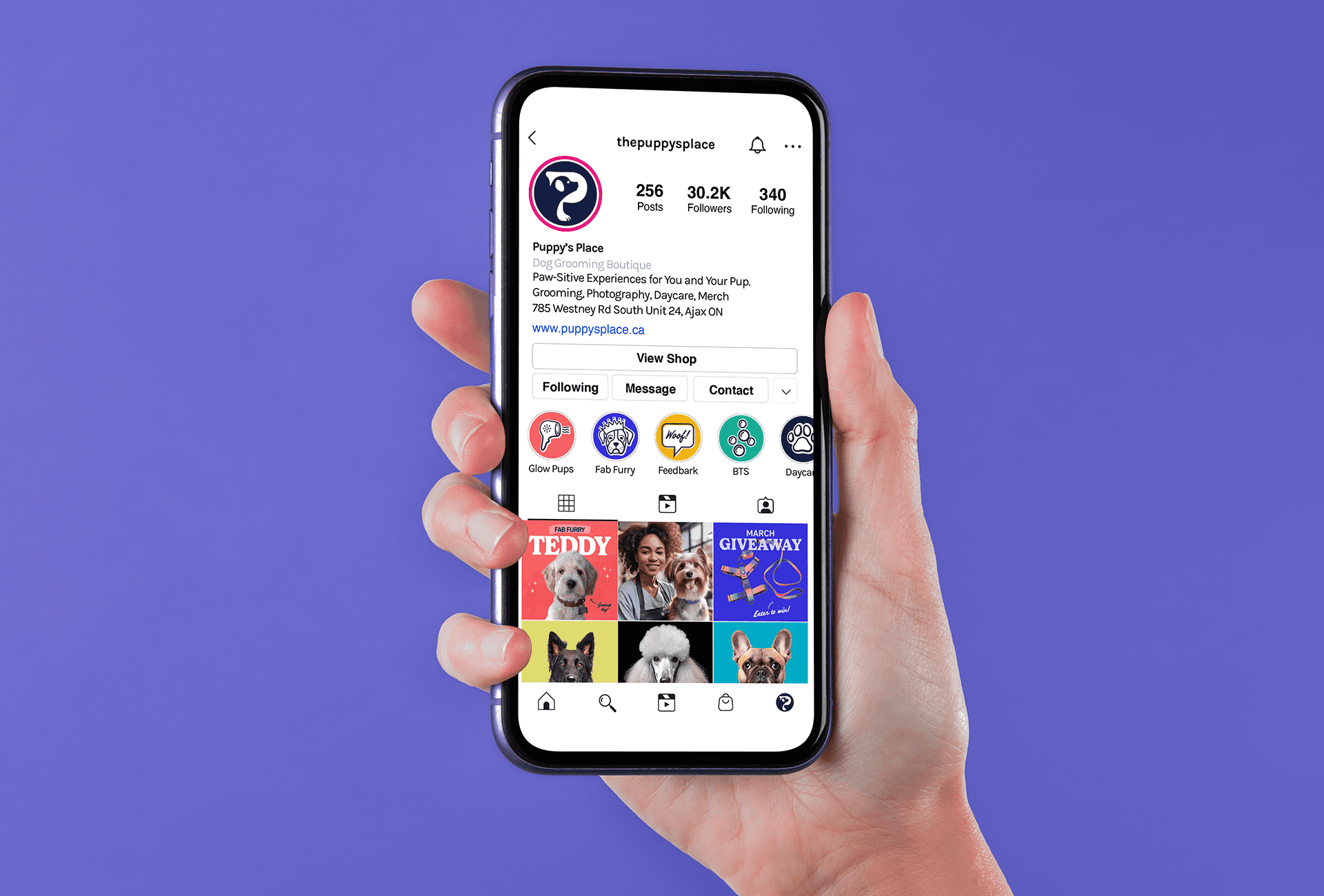 Mockup of instagram social media branding for Puppy's Place featuring a hand holding a phone with instagram on display 