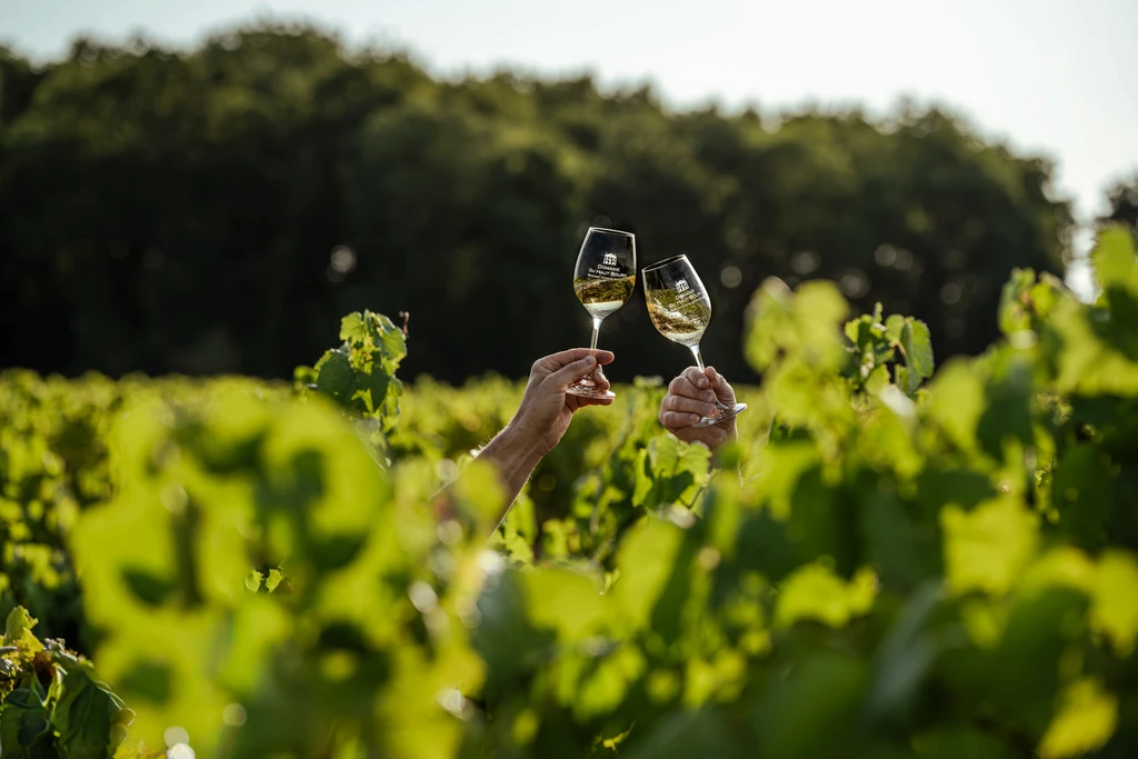Deux verres de vin blanc levés au-dessus des vignes