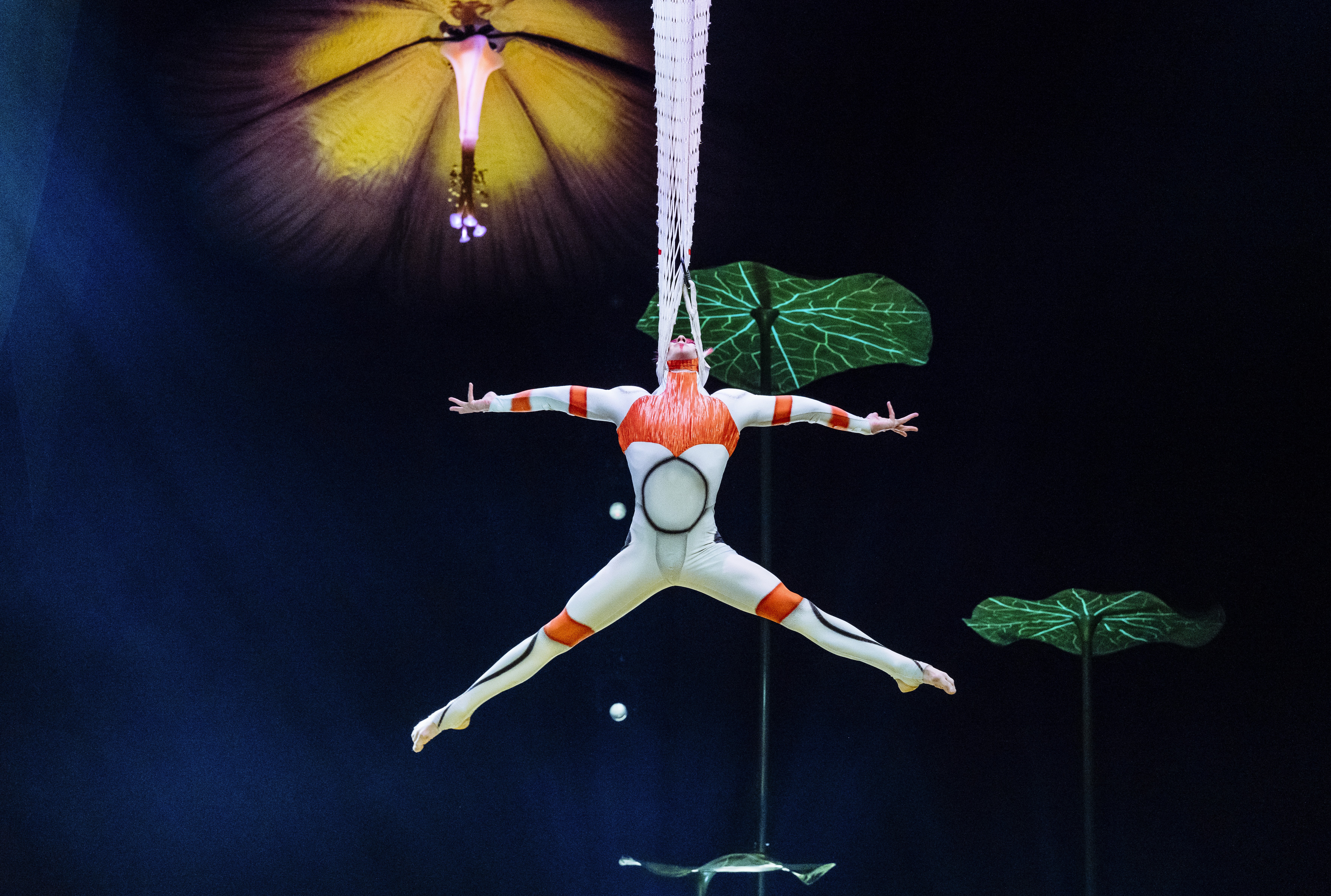 A performer dangles in an acrobatic feat at Cirque du Soleil's OVO at the London Coliseum