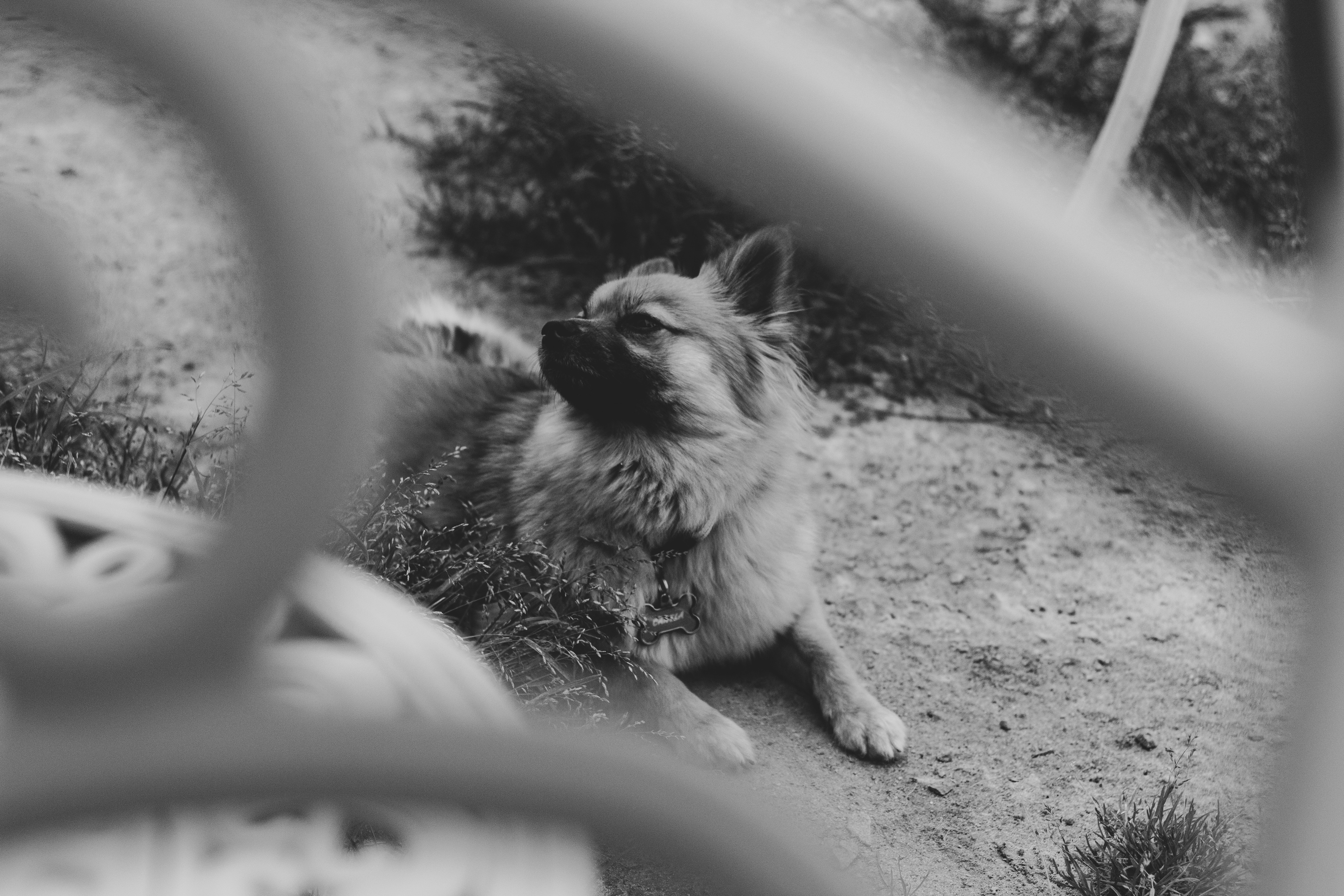 low angle photography of building